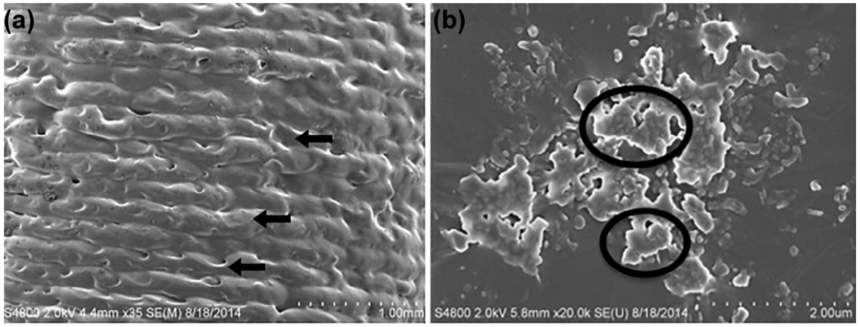 Polymers 15 04306 g004