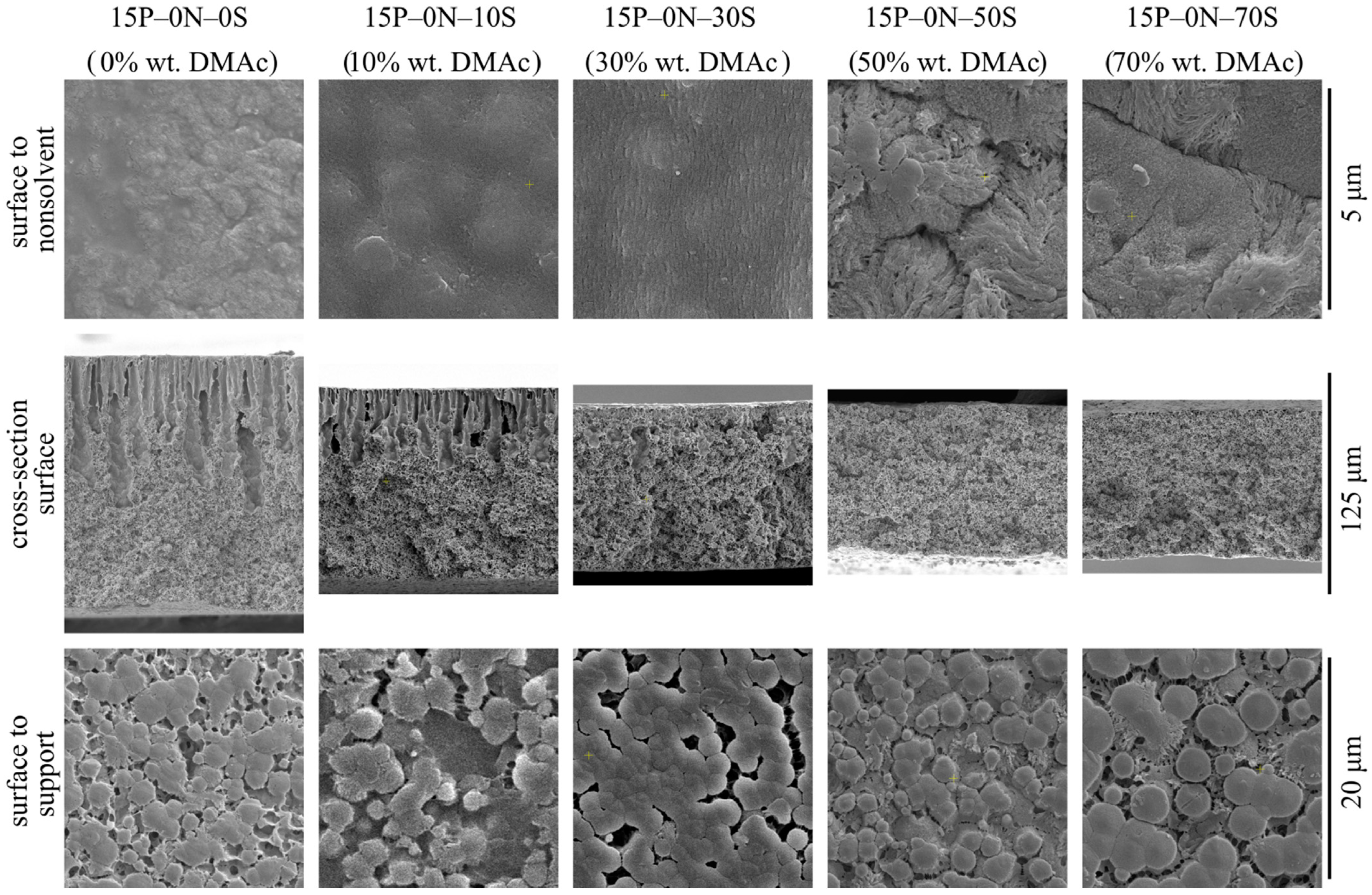 Polymers 15 04307 g002