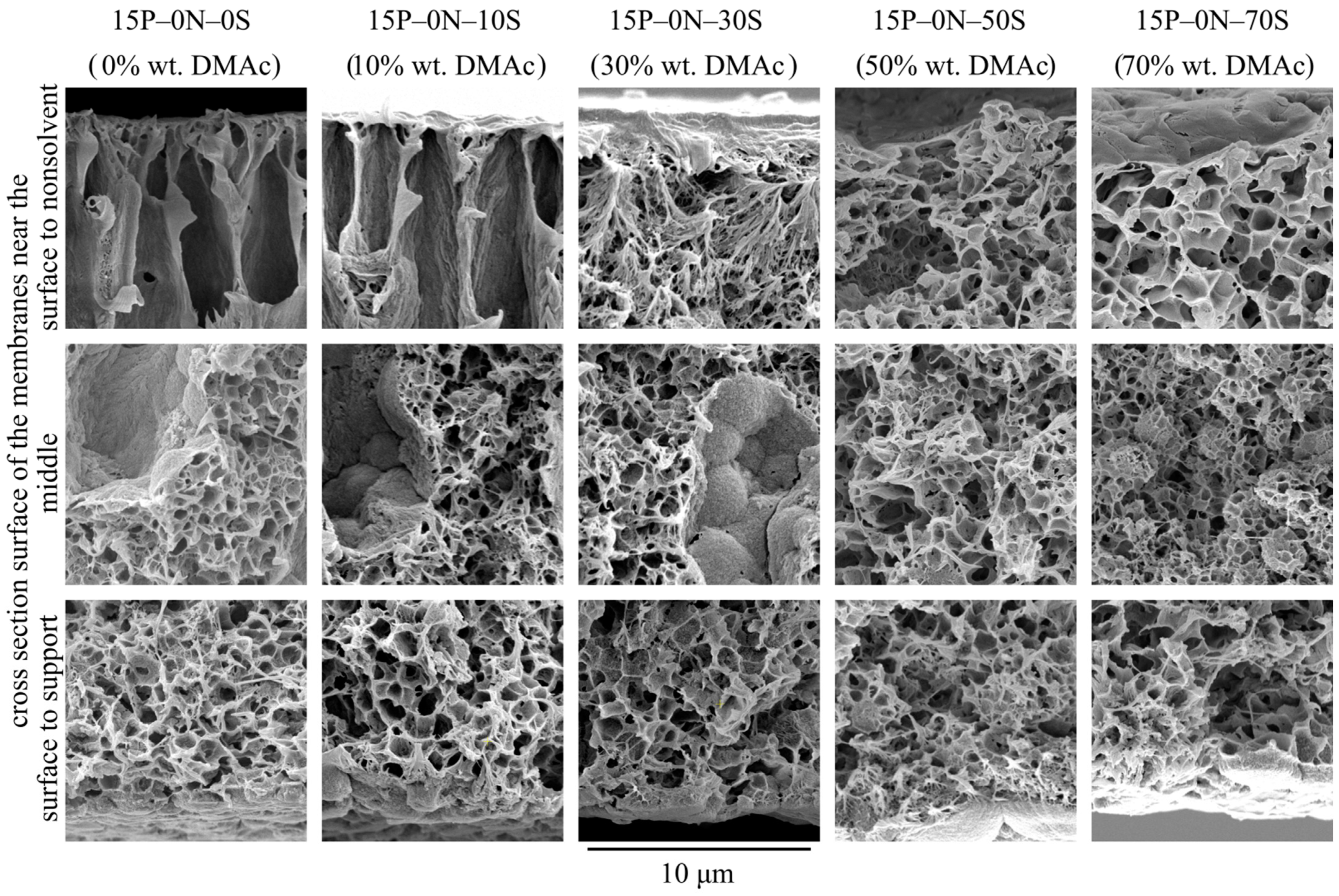 Polymers 15 04307 g003