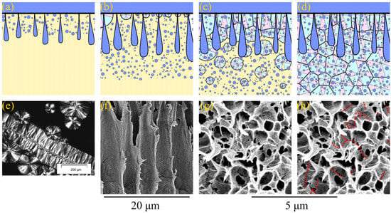 Polymers 15 04307 g004