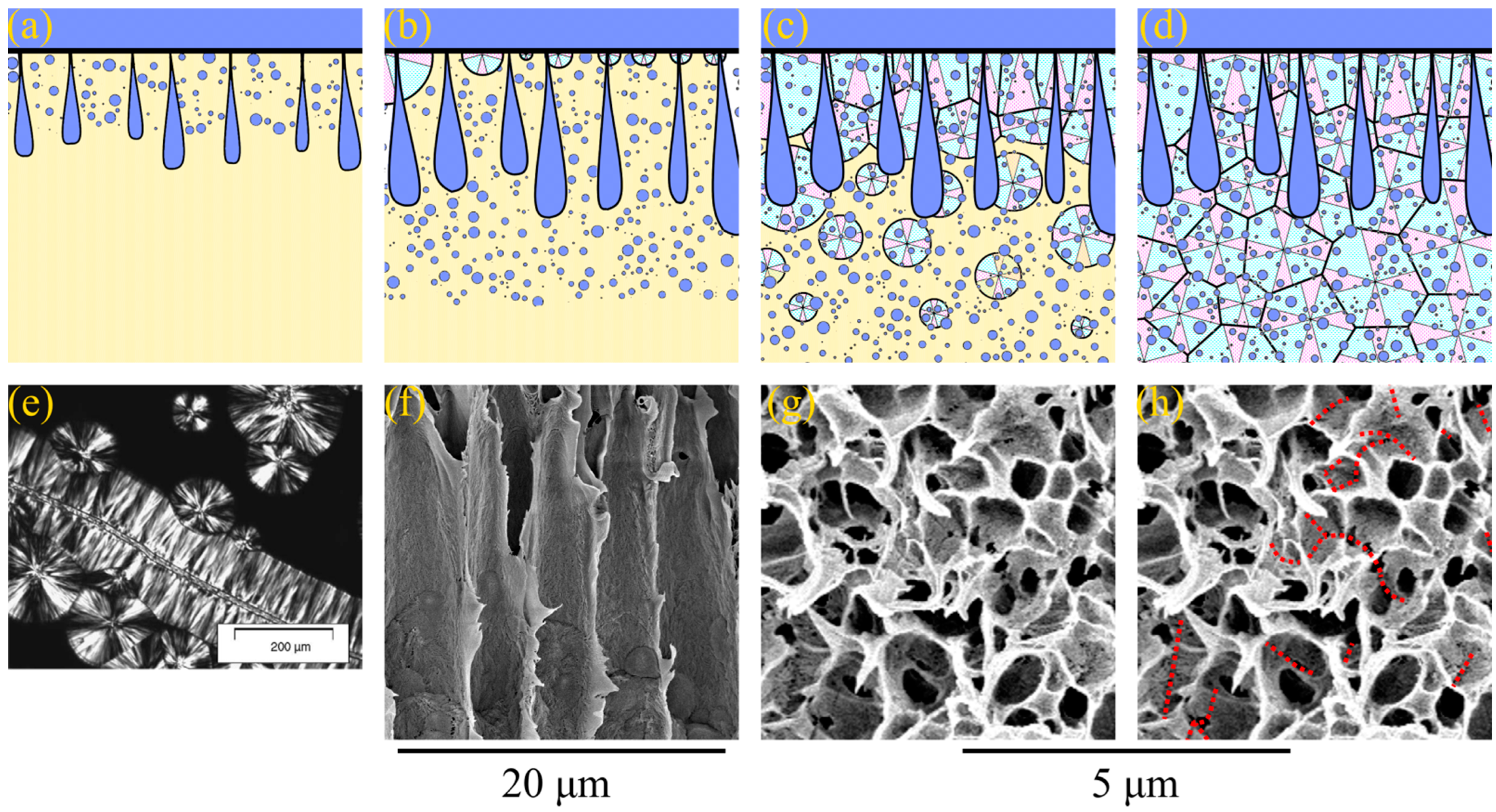 Polymers 15 04307 g004
