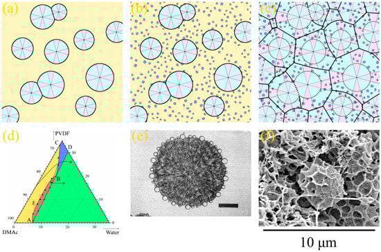 Polymers 15 04307 g005