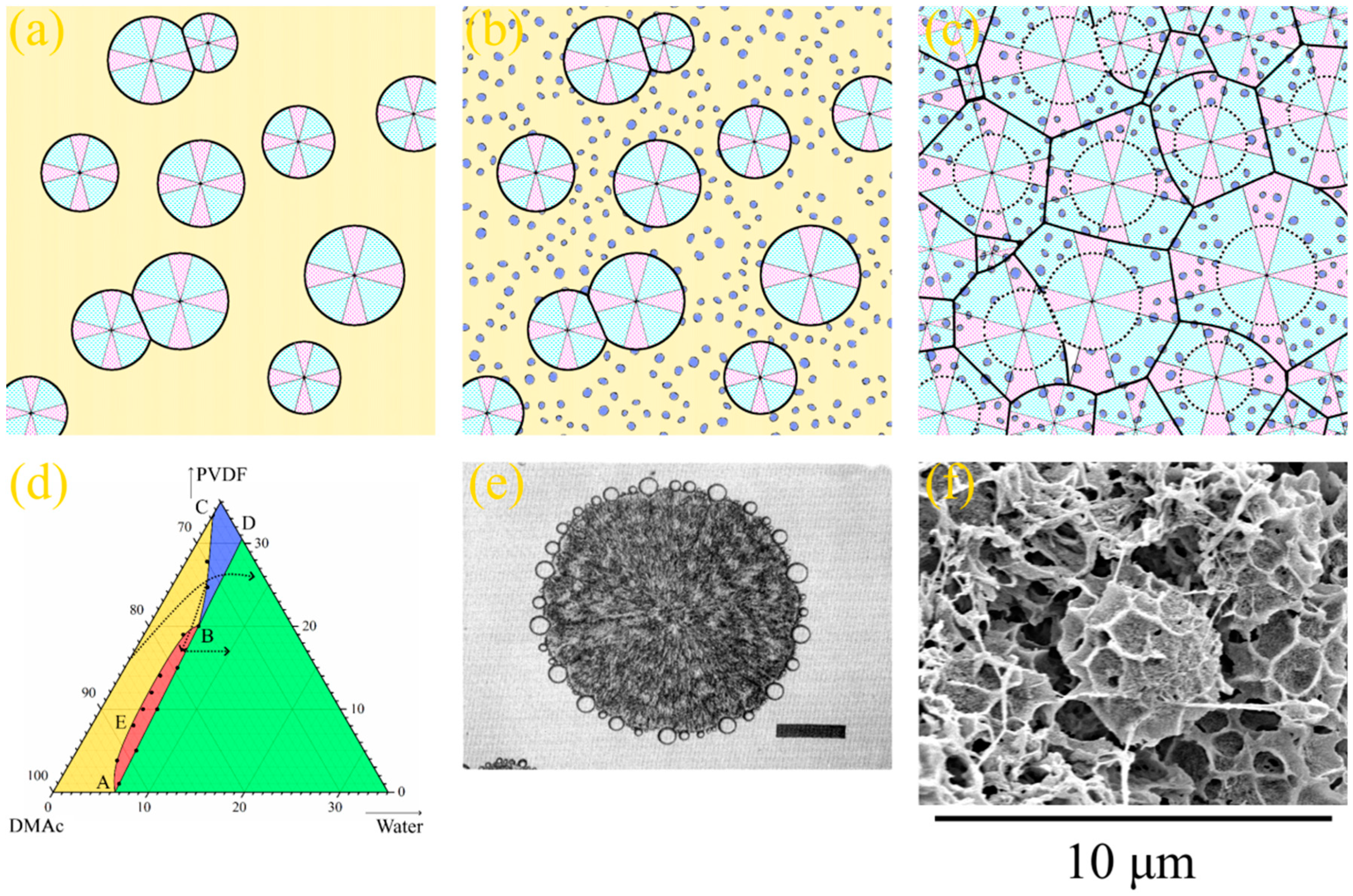 Polymers 15 04307 g005