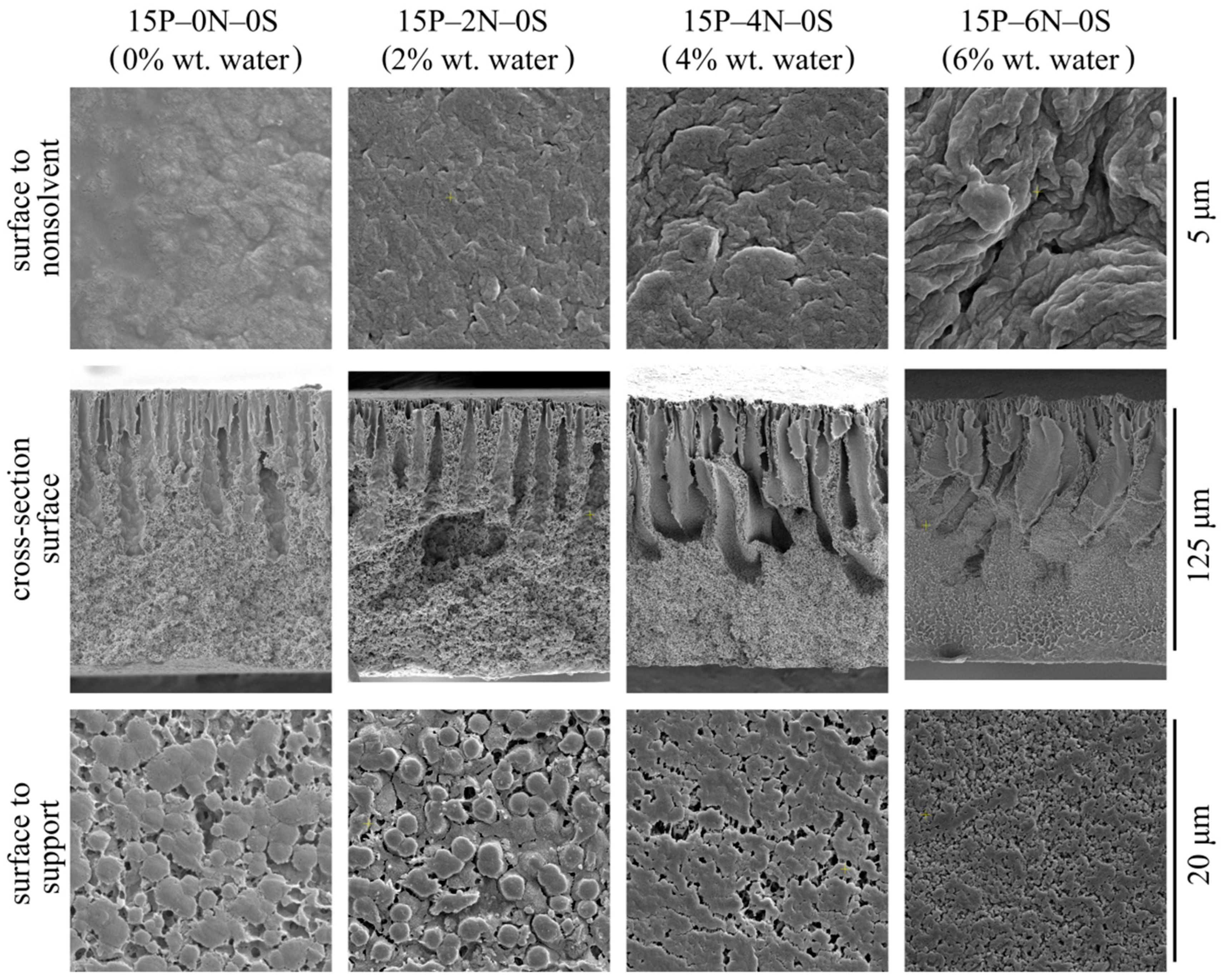 Polymers 15 04307 g009