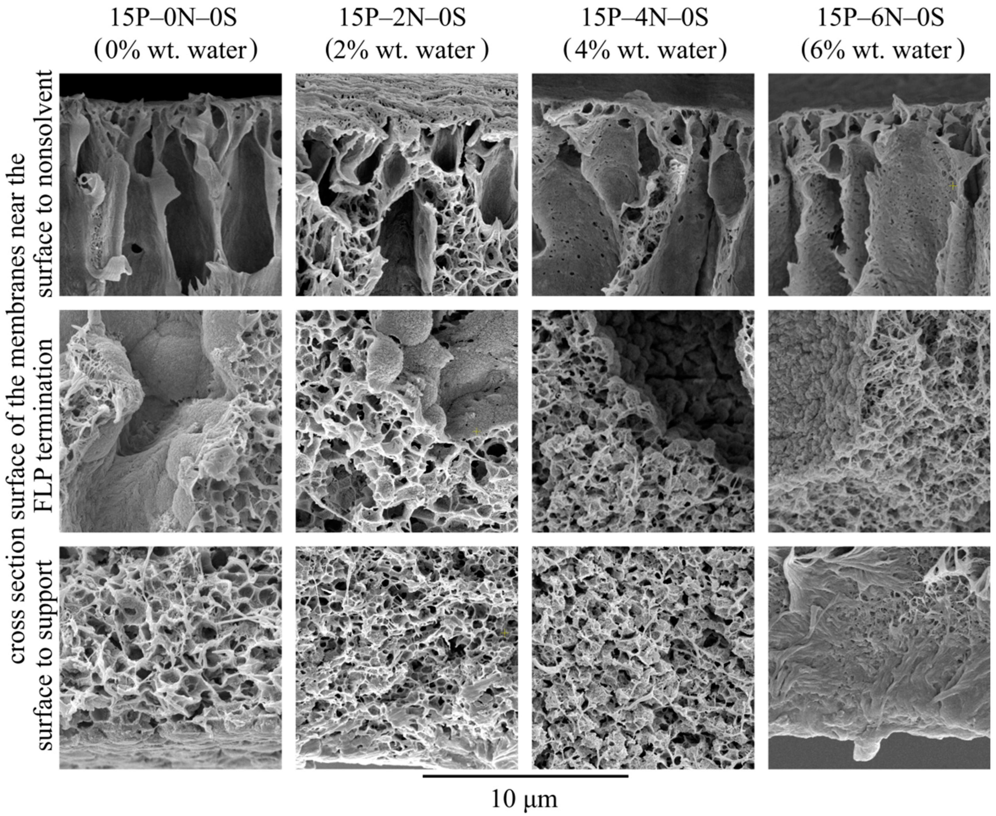 Polymers 15 04307 g010
