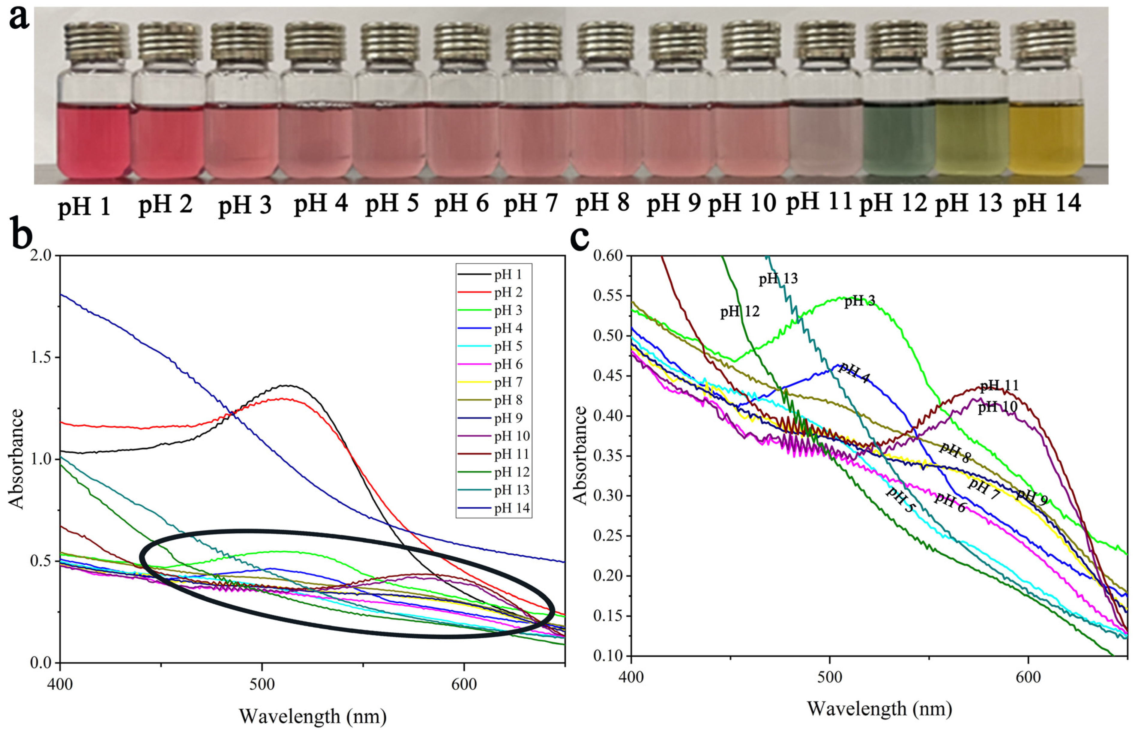 Polymers 15 04308 g001