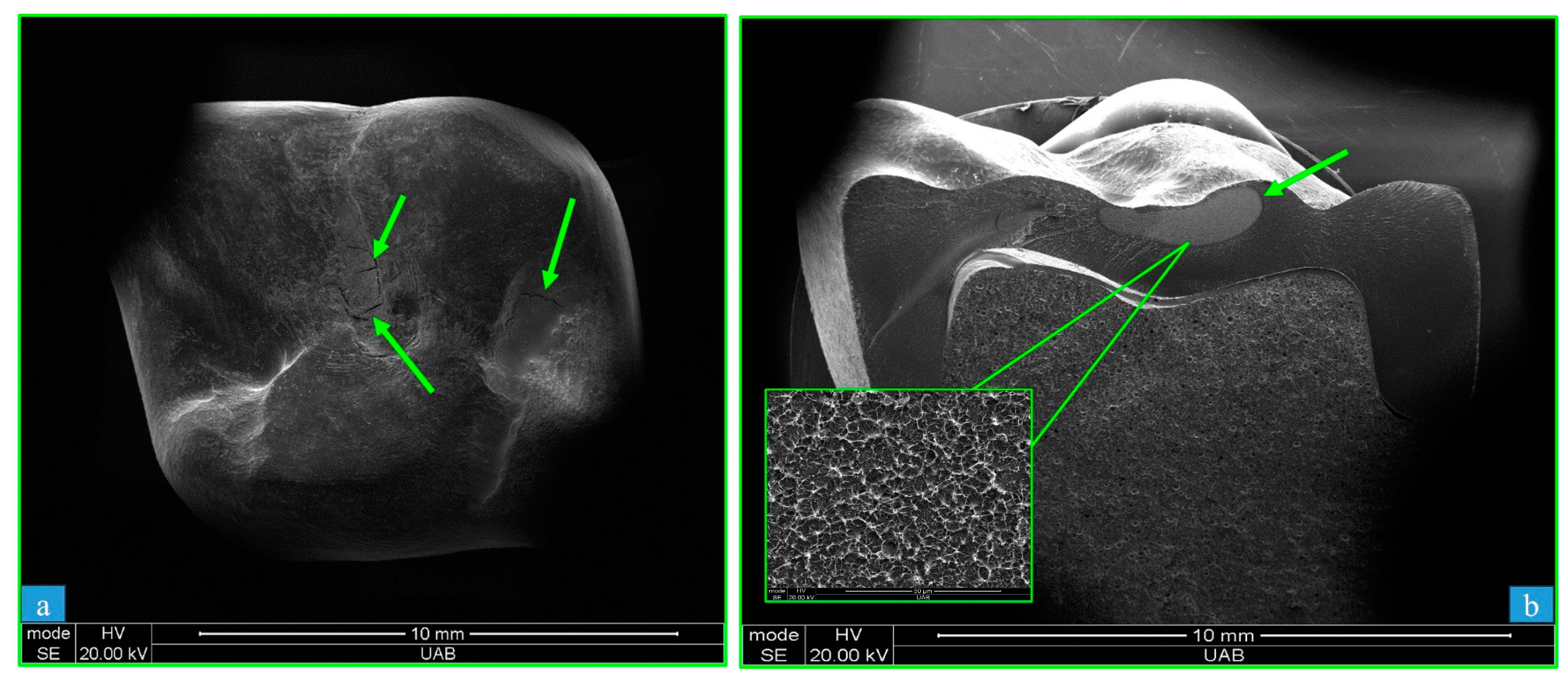 Polymers 15 04312 g006