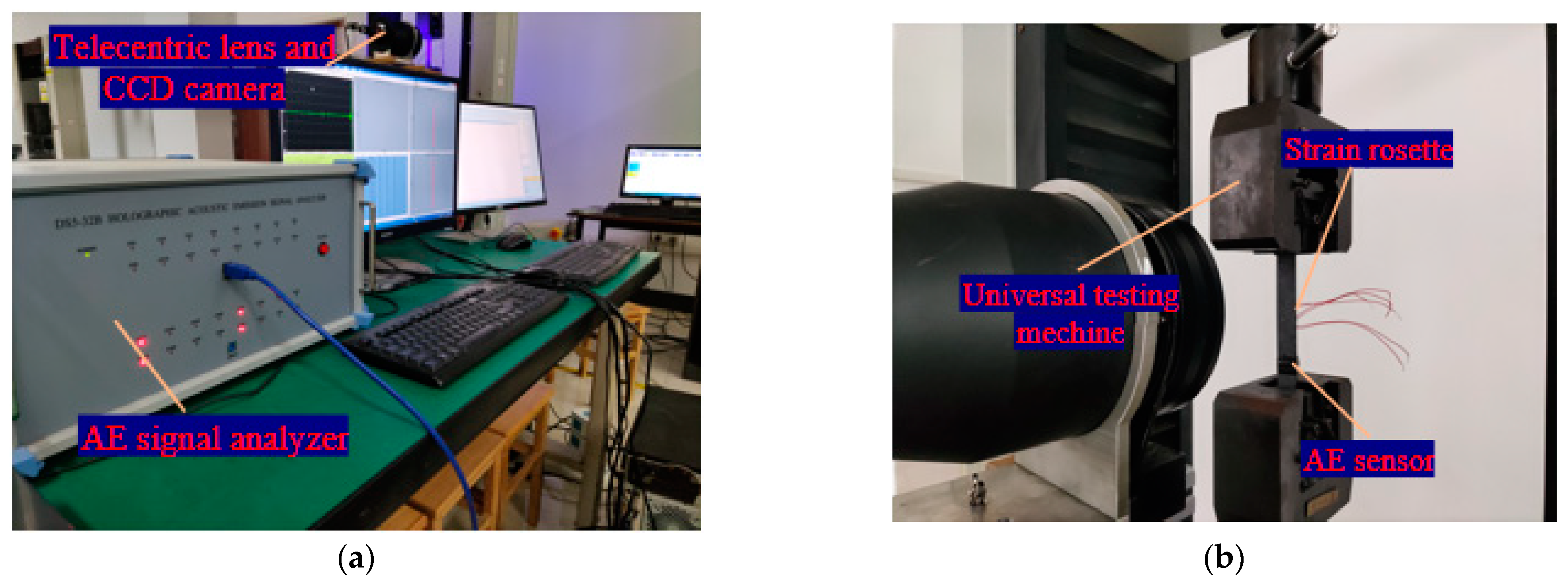 Polymers 15 04319 g001