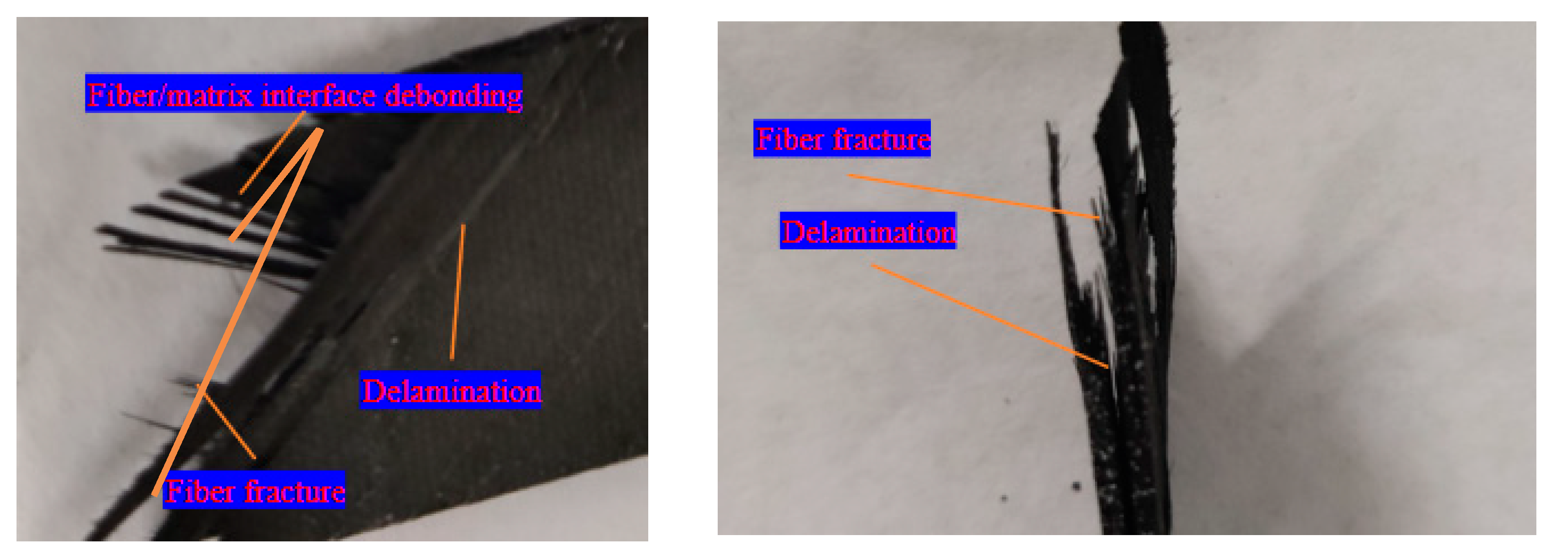 Polymers 15 04319 g006