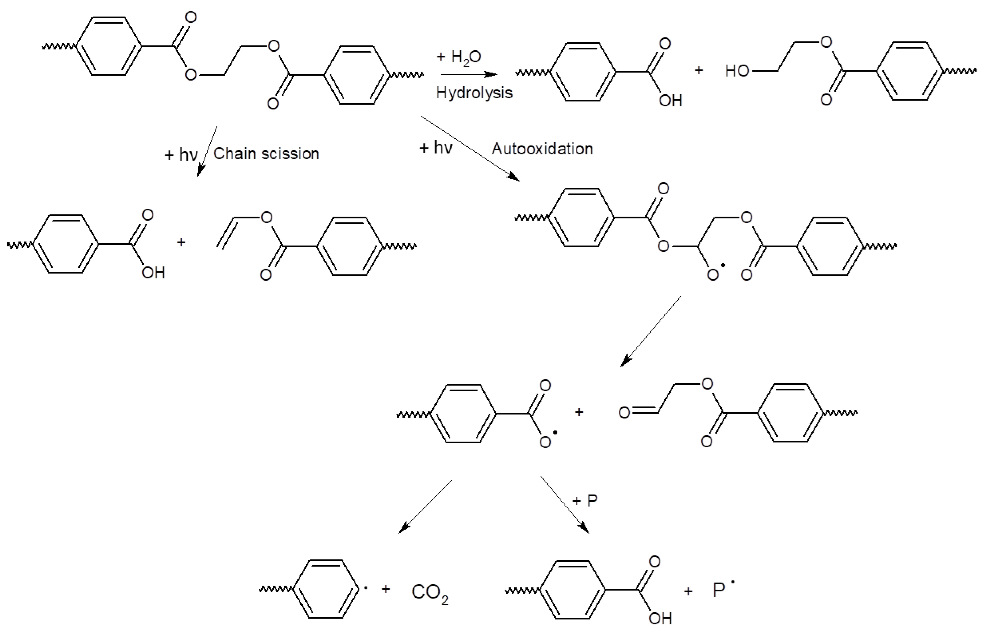 Polymers 15 04322 g005