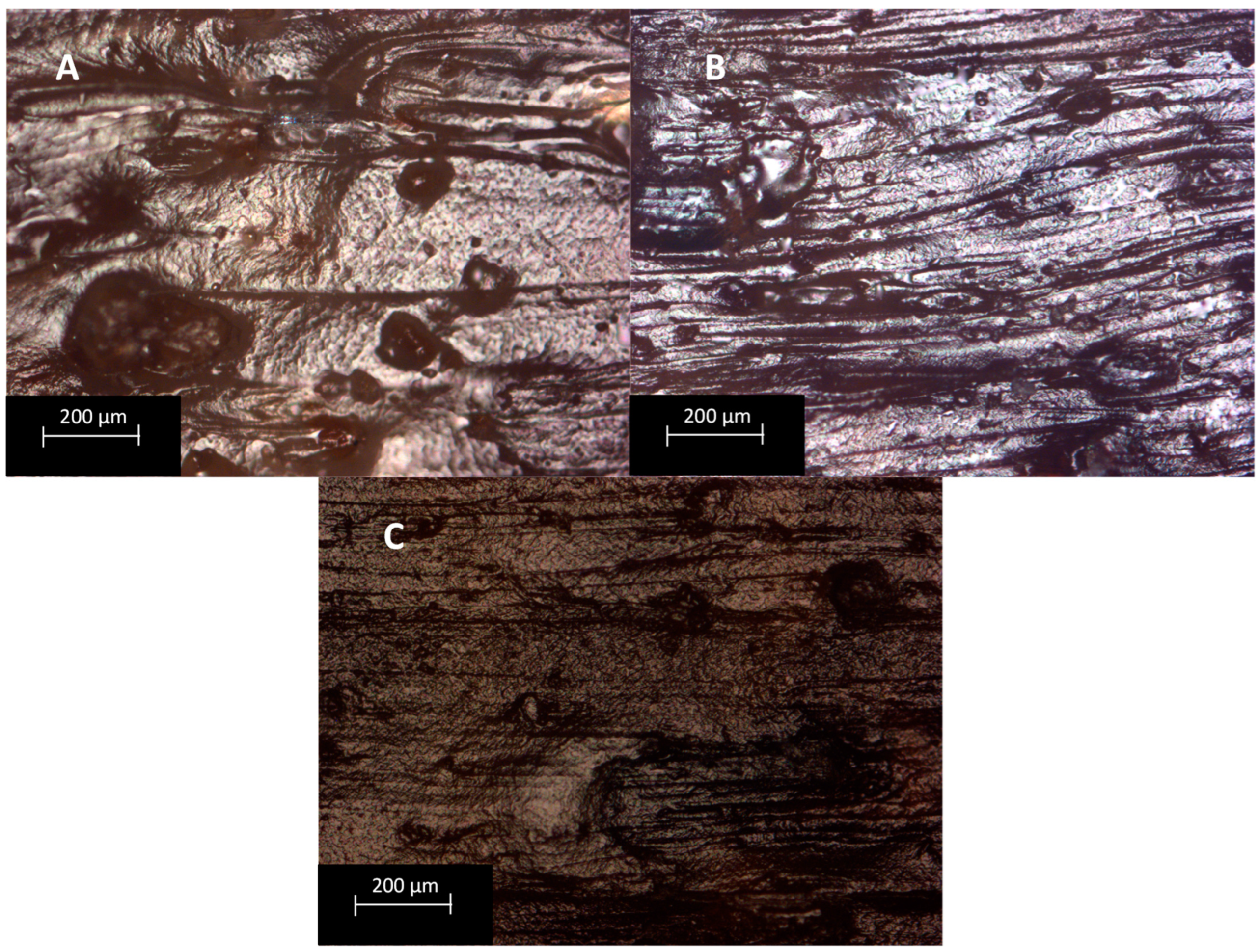 Polymers 15 04323 g007