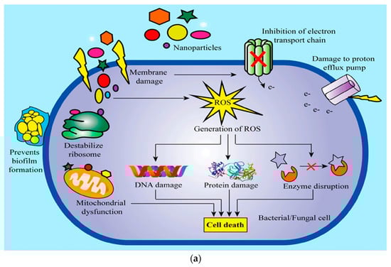 Polymers 15 04327 g005a