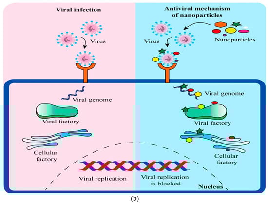 Polymers 15 04327 g005b