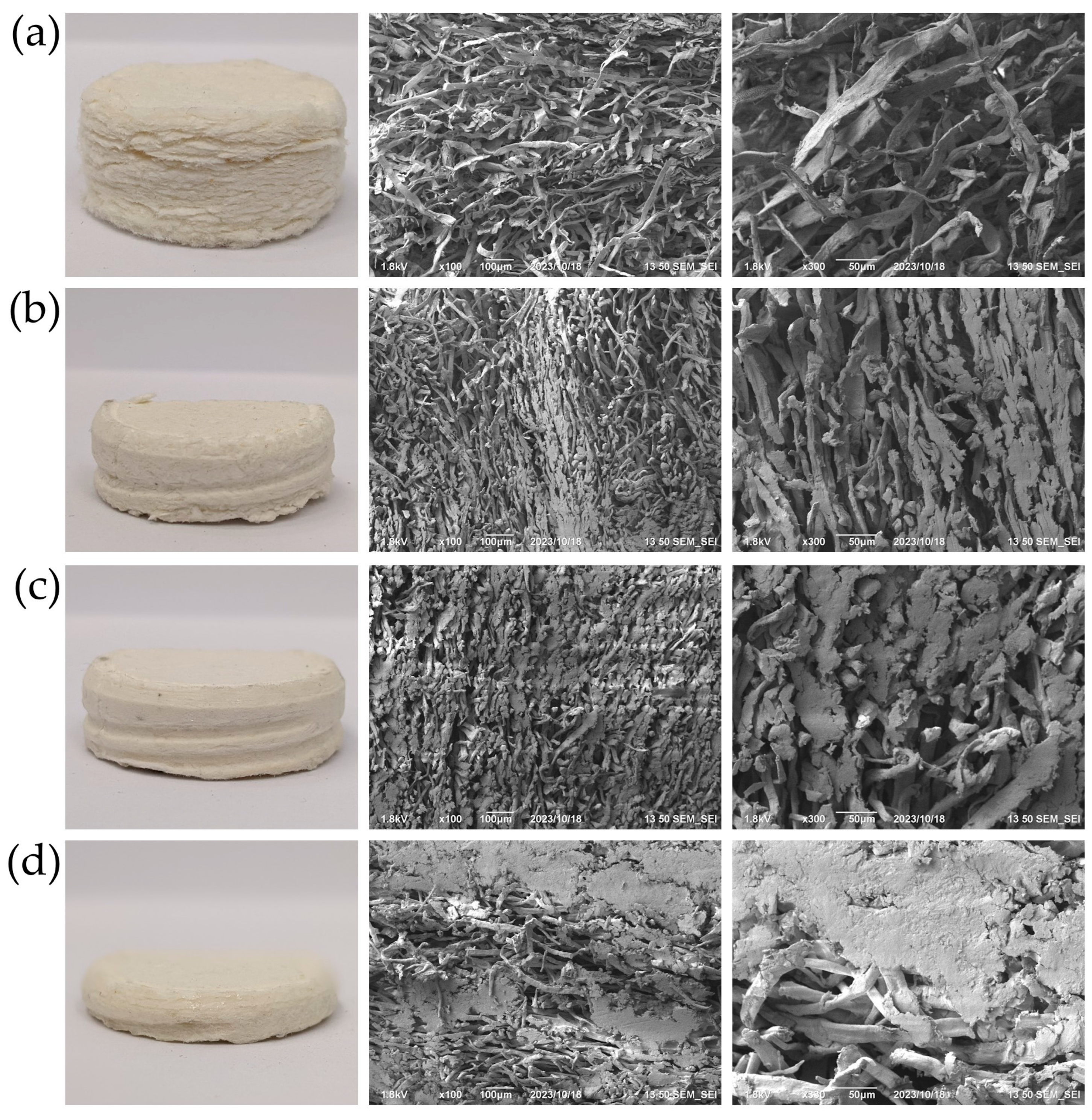 Polymers 15 04328 g005