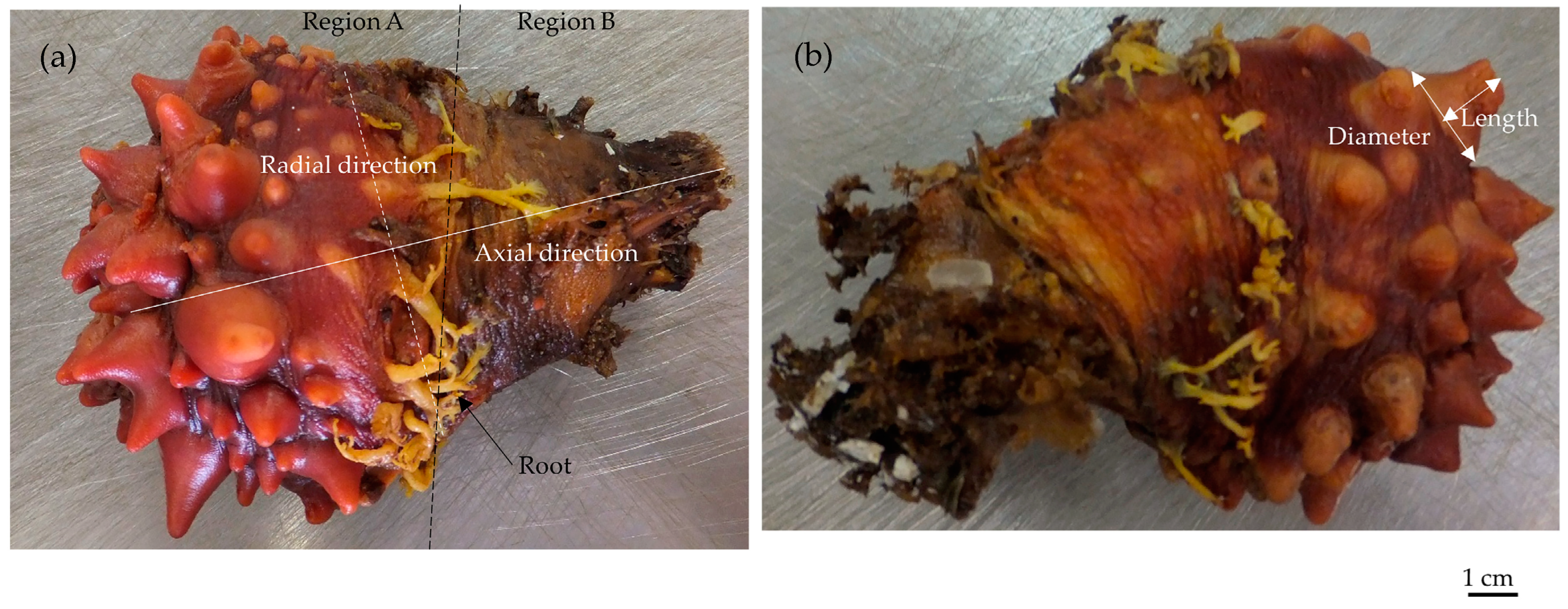 Polymers 15 04329 g001