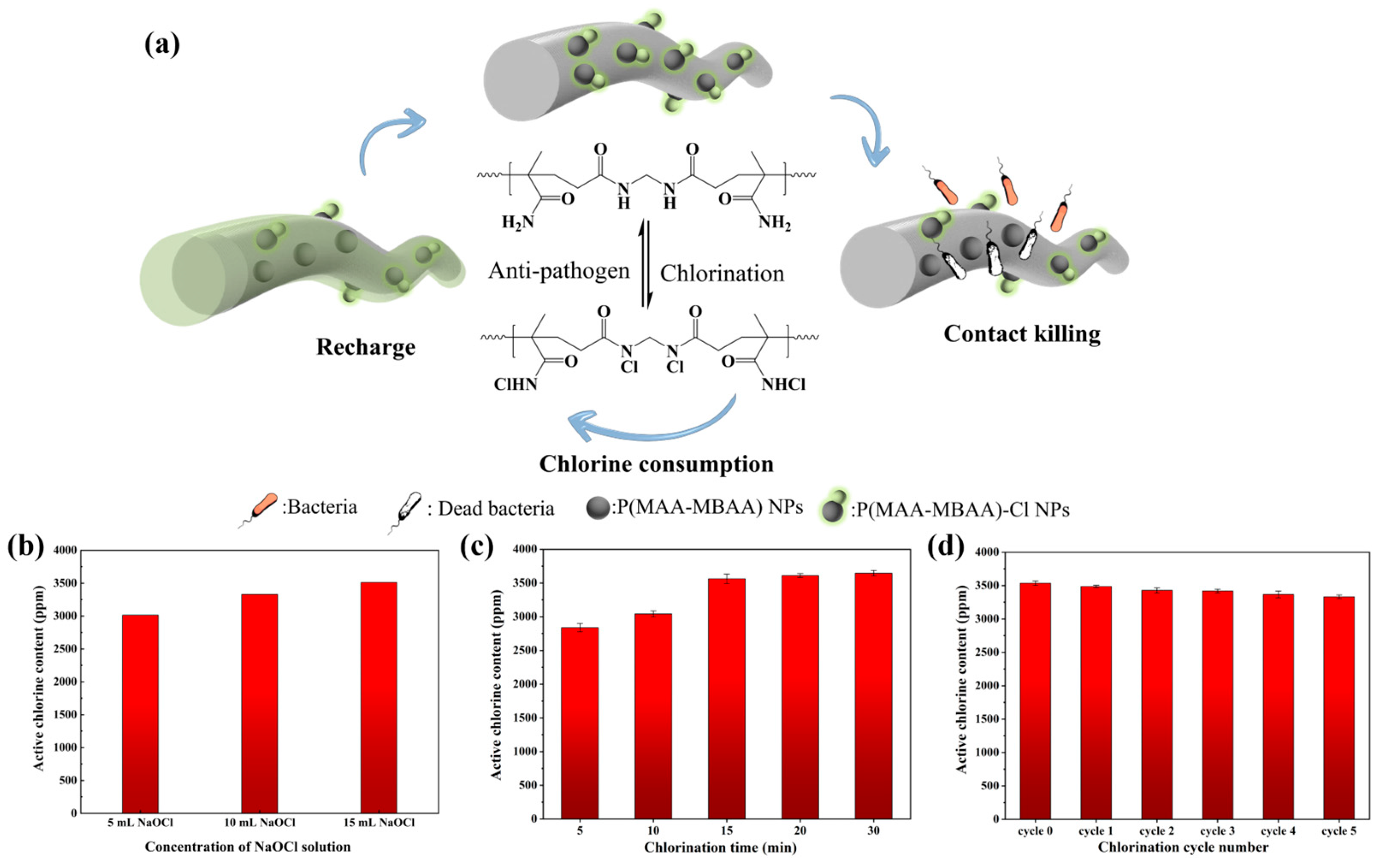Polymers 15 04335 g004