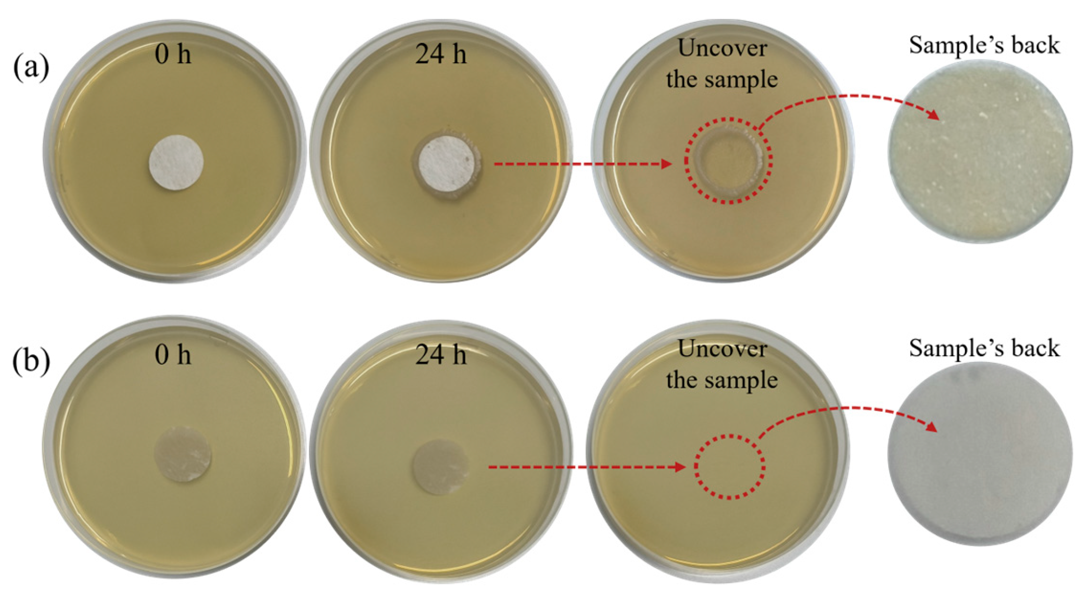 Polymers 15 04335 g007