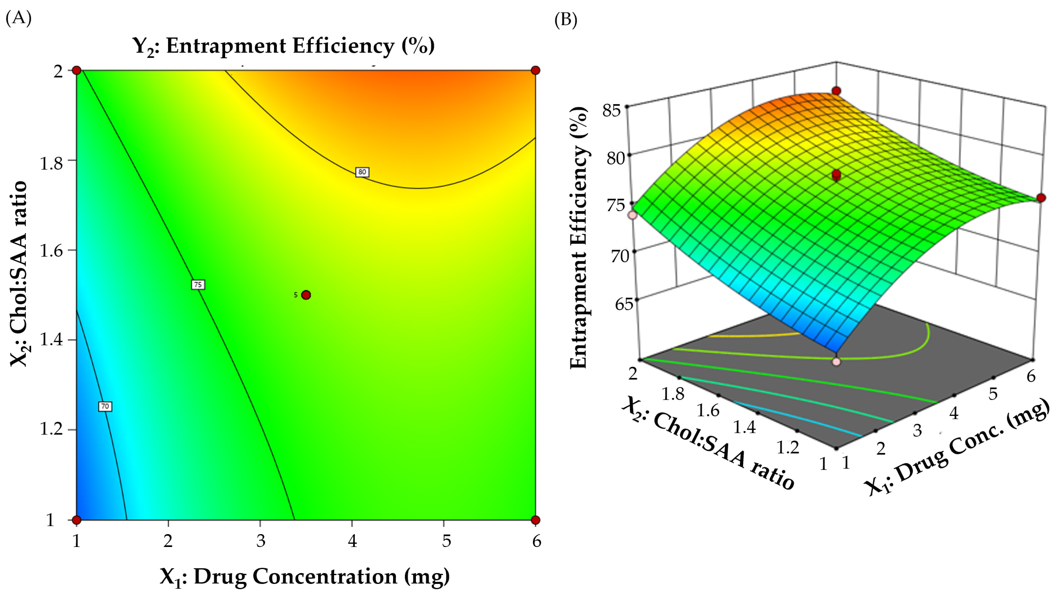 Polymers 15 04336 g002