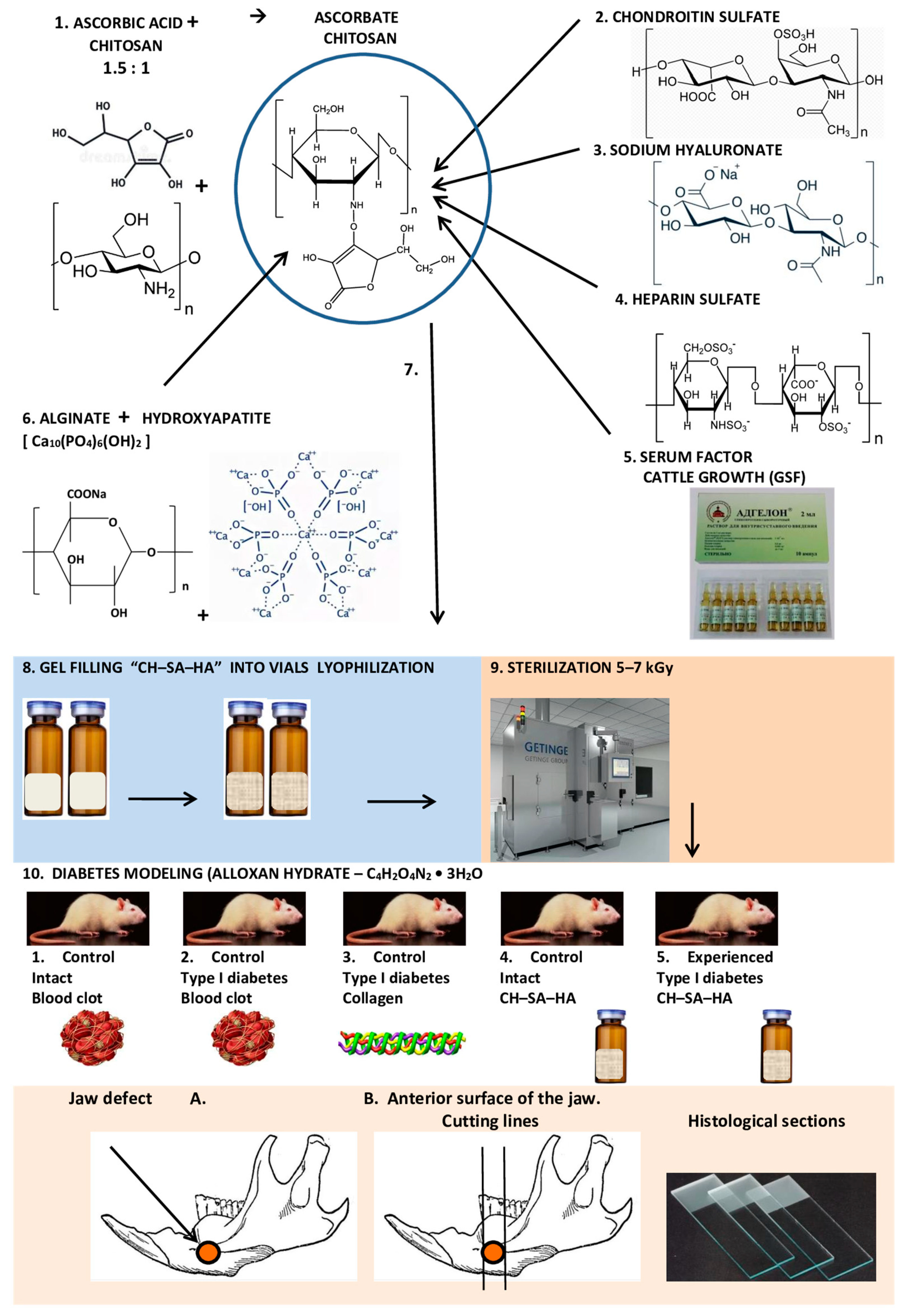 Polymers 15 04337 g001