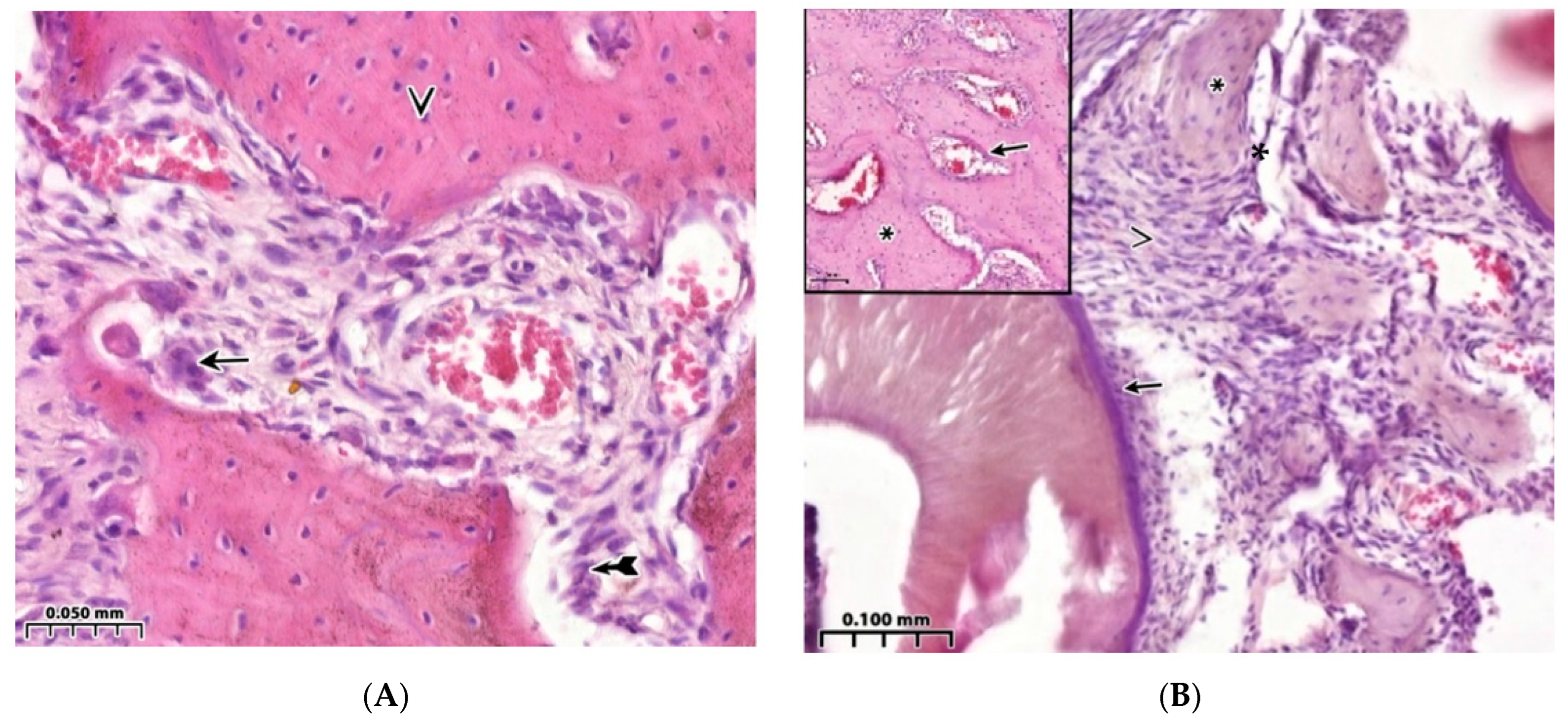 Polymers 15 04337 g002