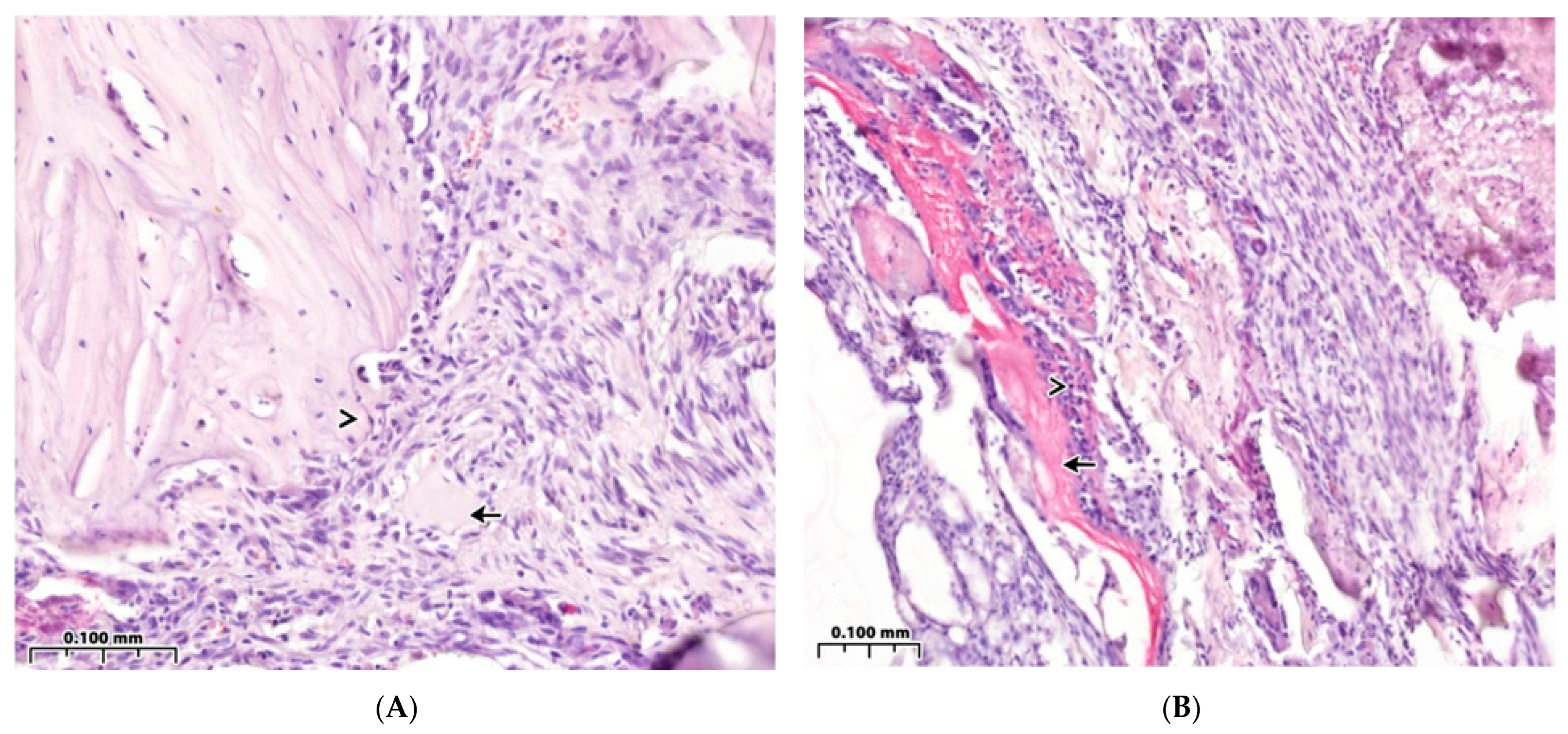 Polymers 15 04337 g003