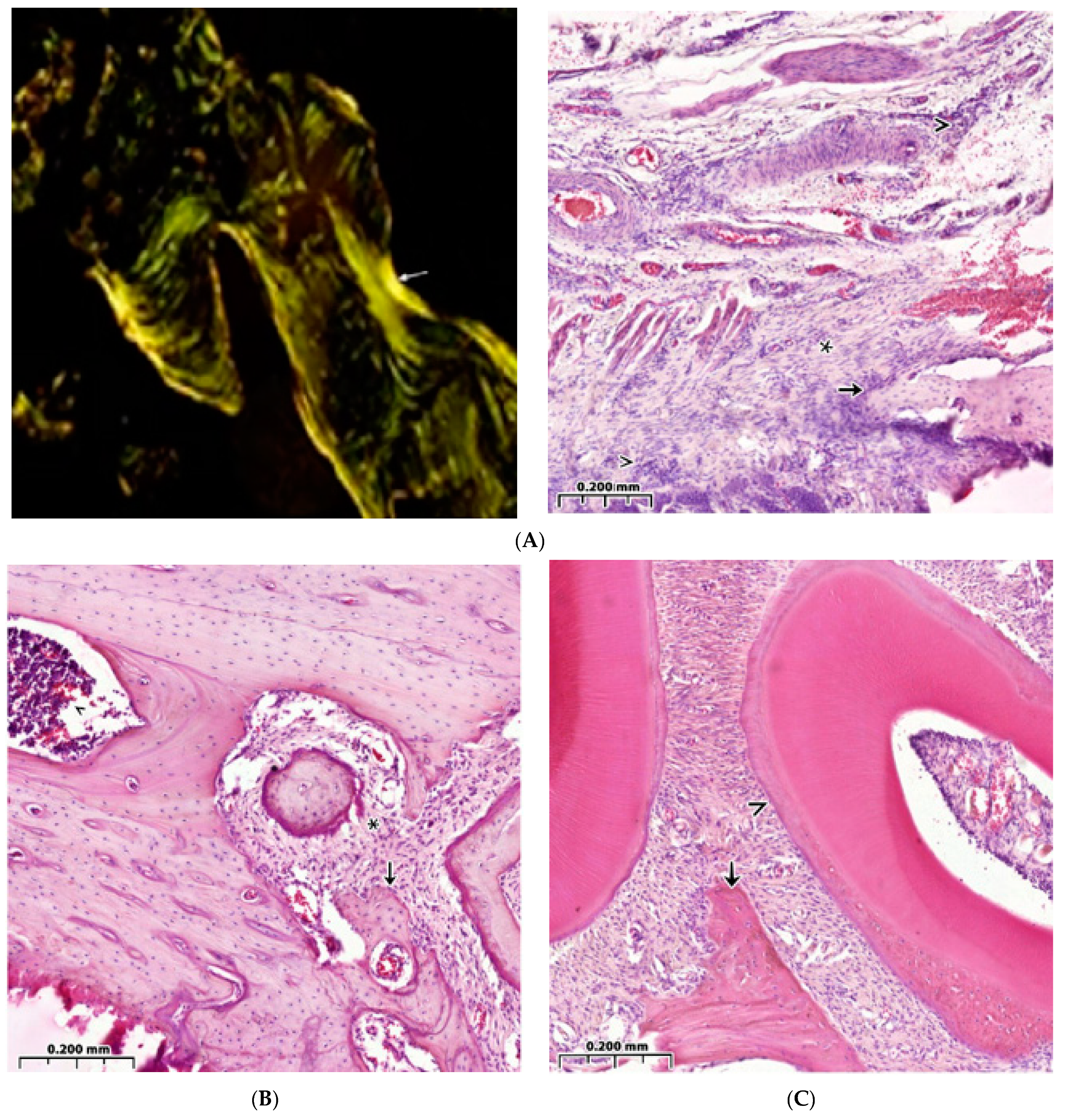 Polymers 15 04337 g005