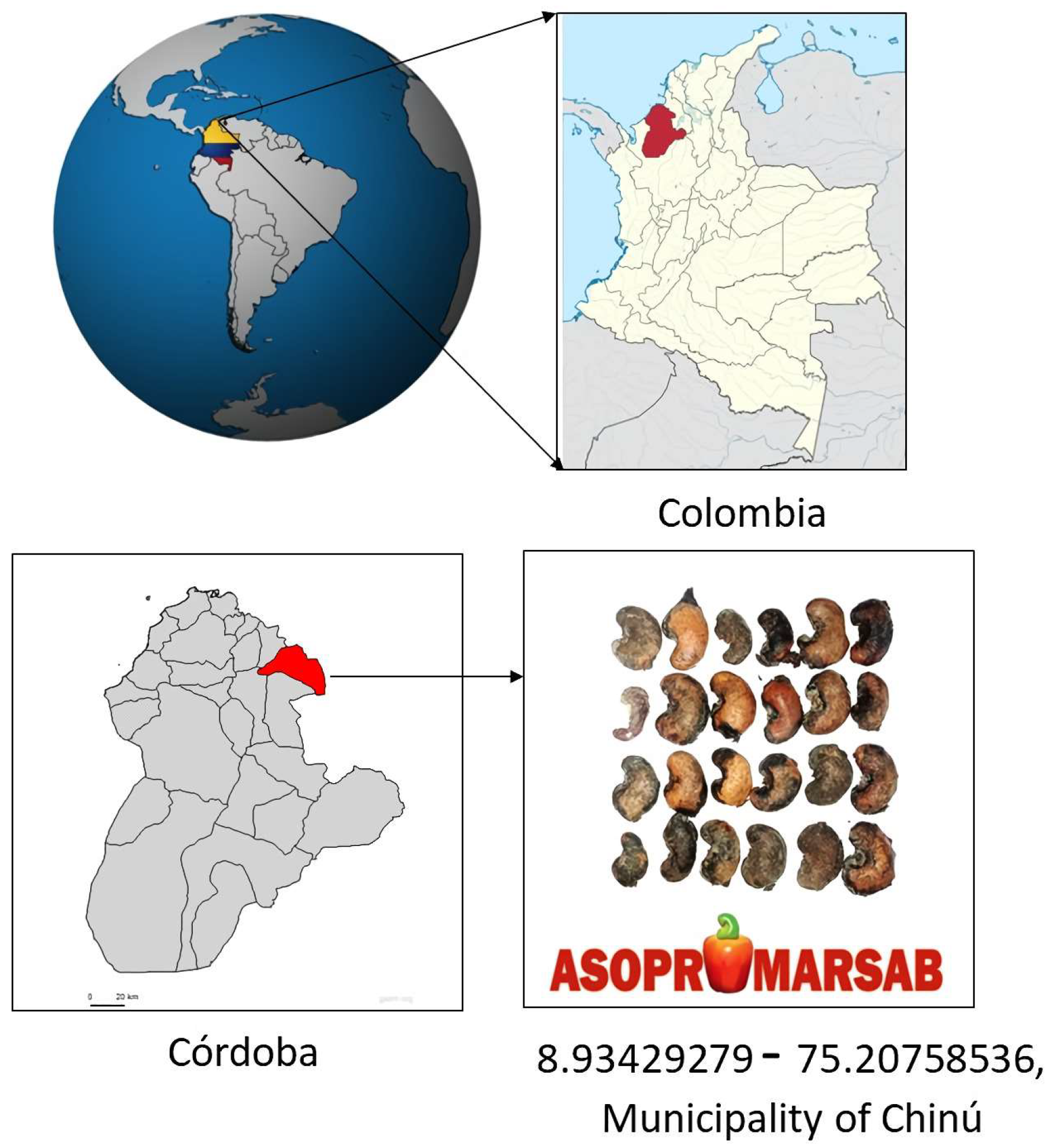 Polymers 15 04347 g001