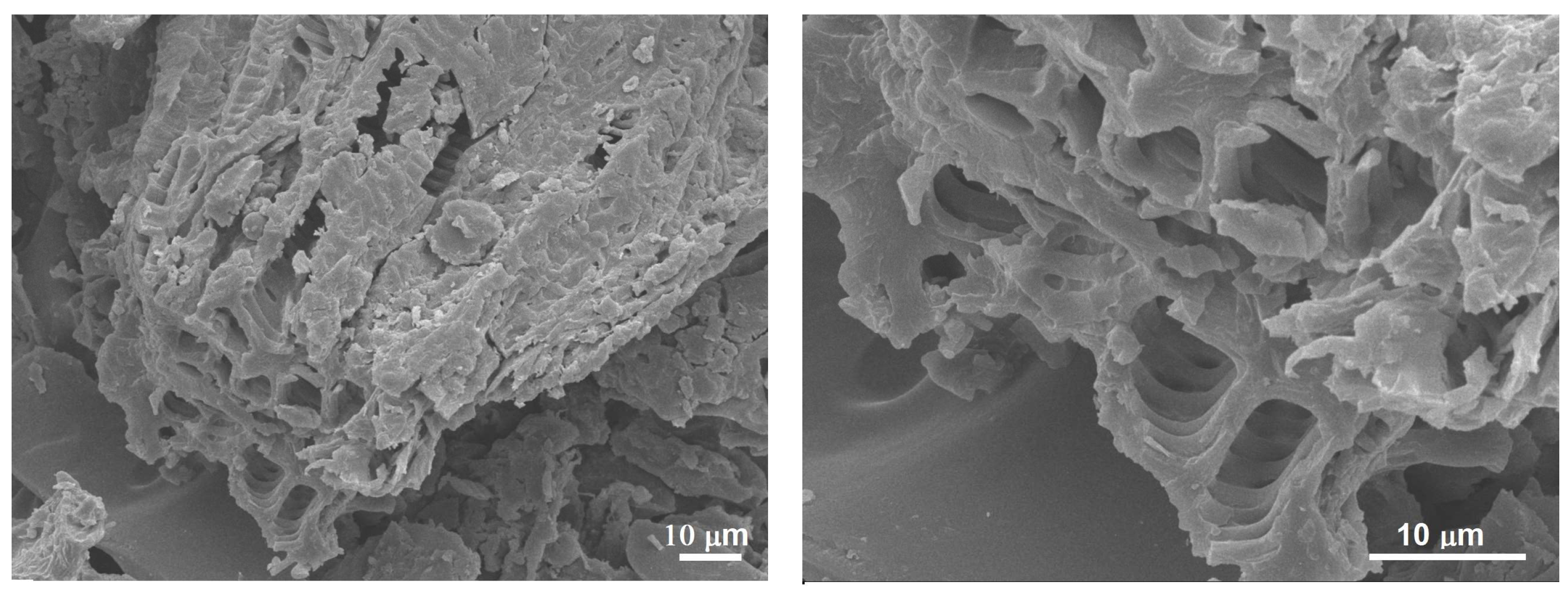 Polymers 15 04347 g002b