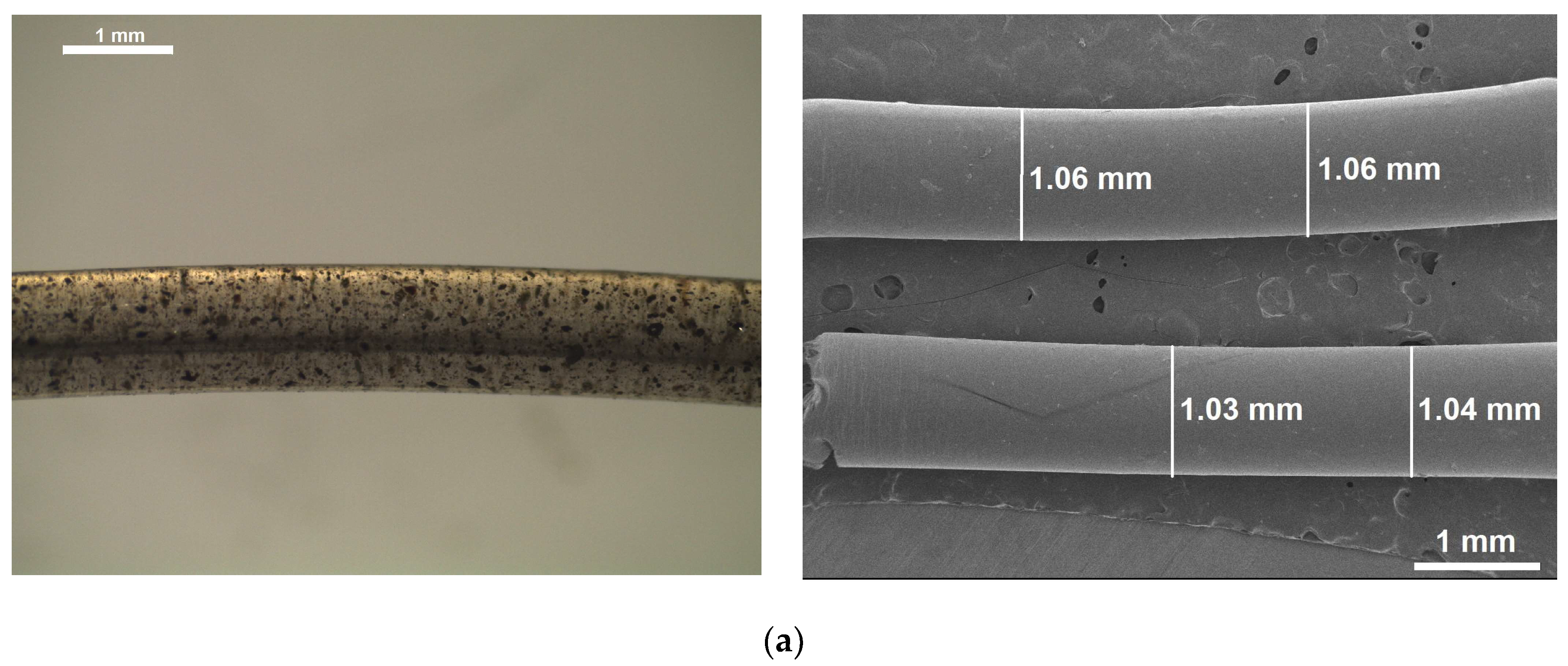 Polymers 15 04347 g005a