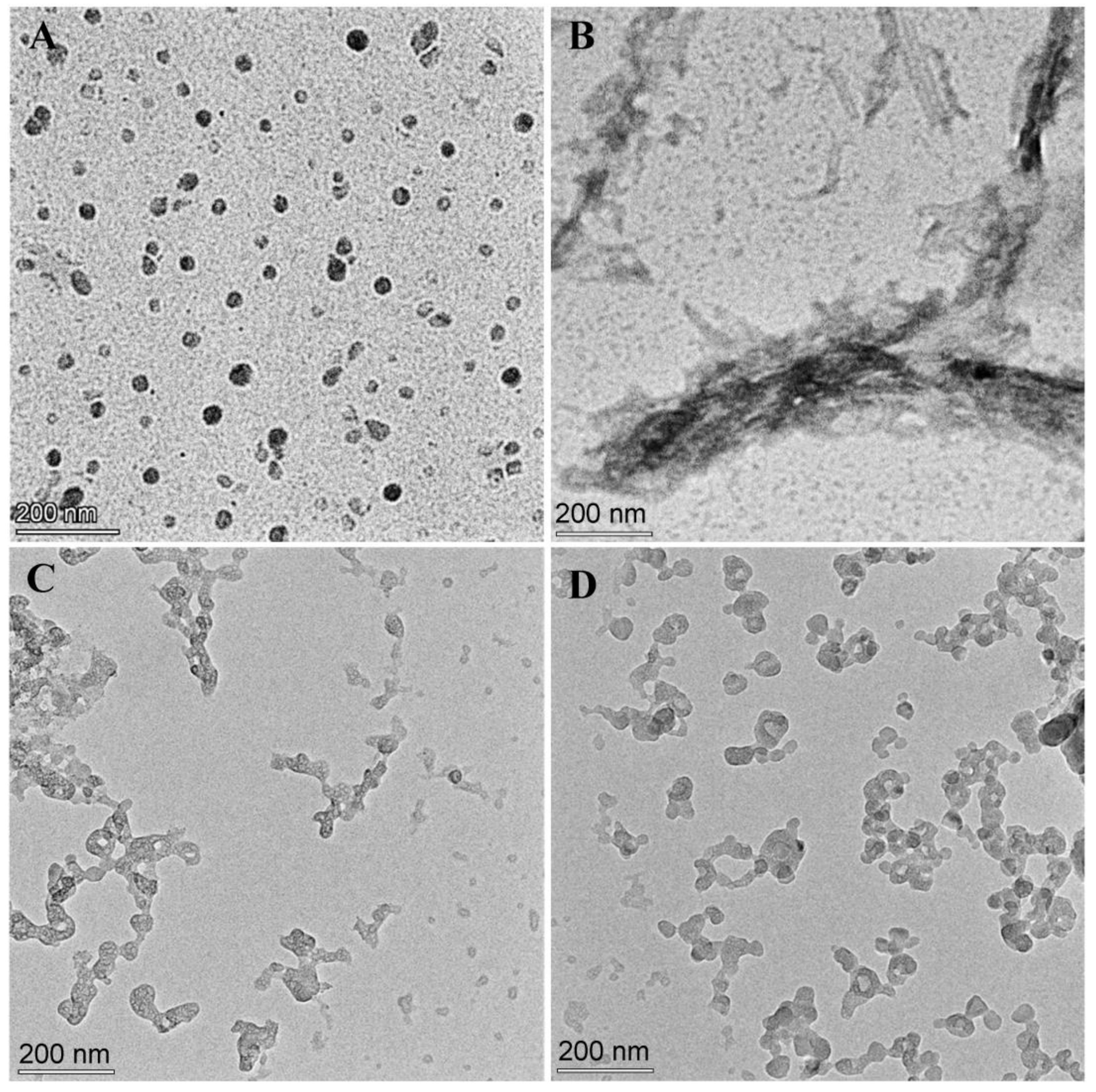 Polymers 15 04356 g005