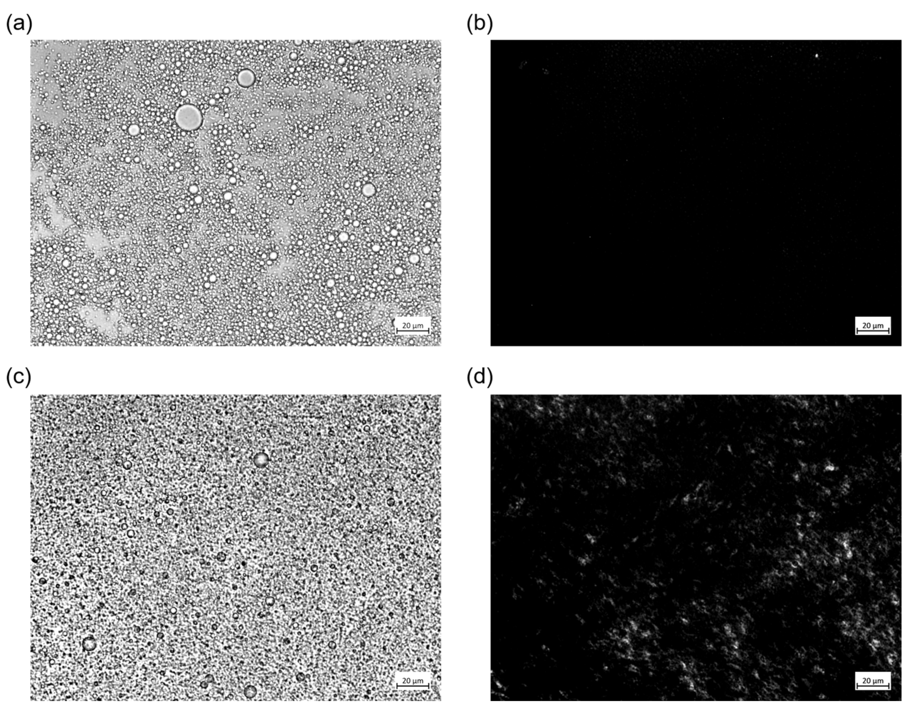 Polymers 15 04371 g007