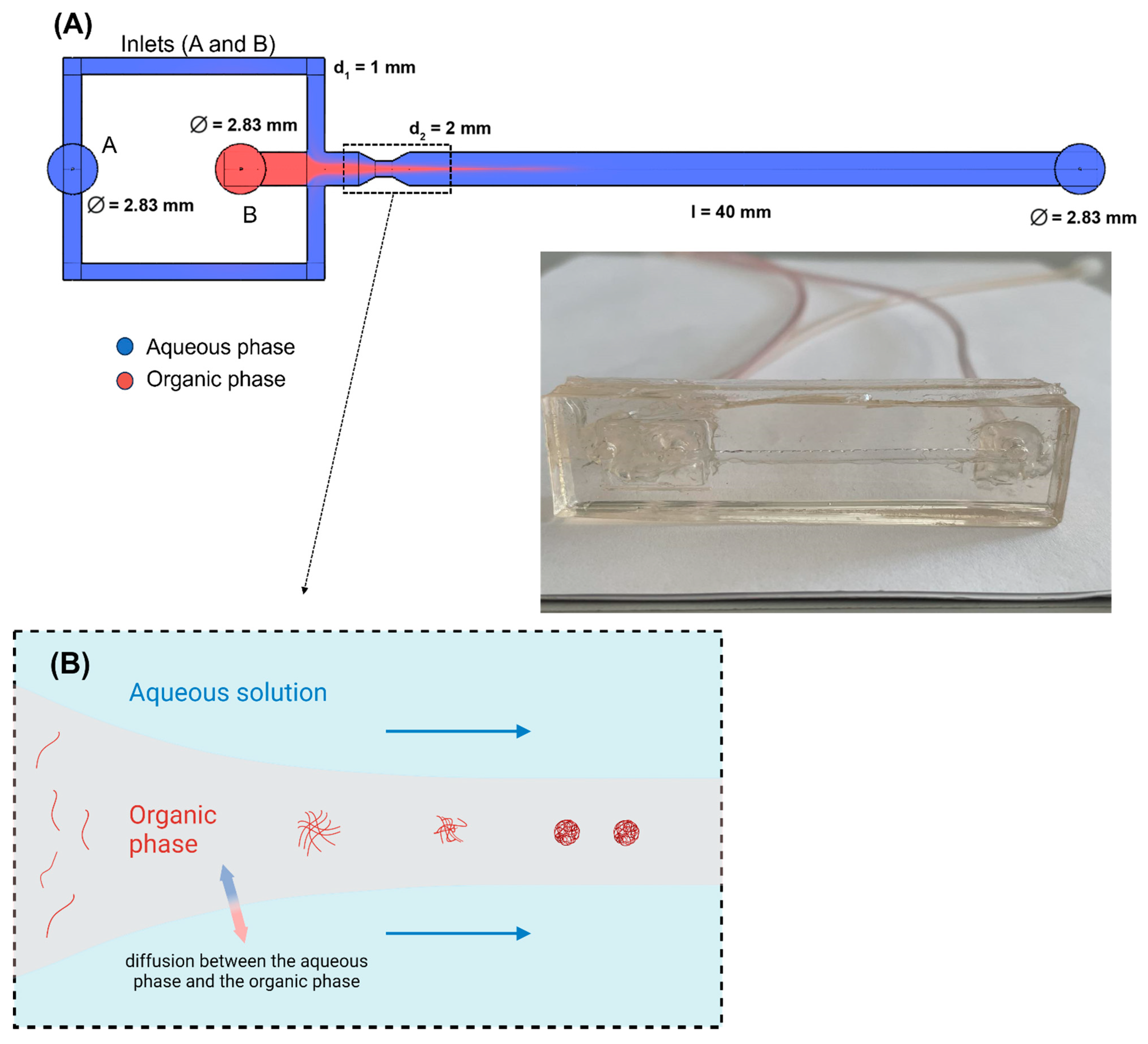 Polymers 15 04375 g001