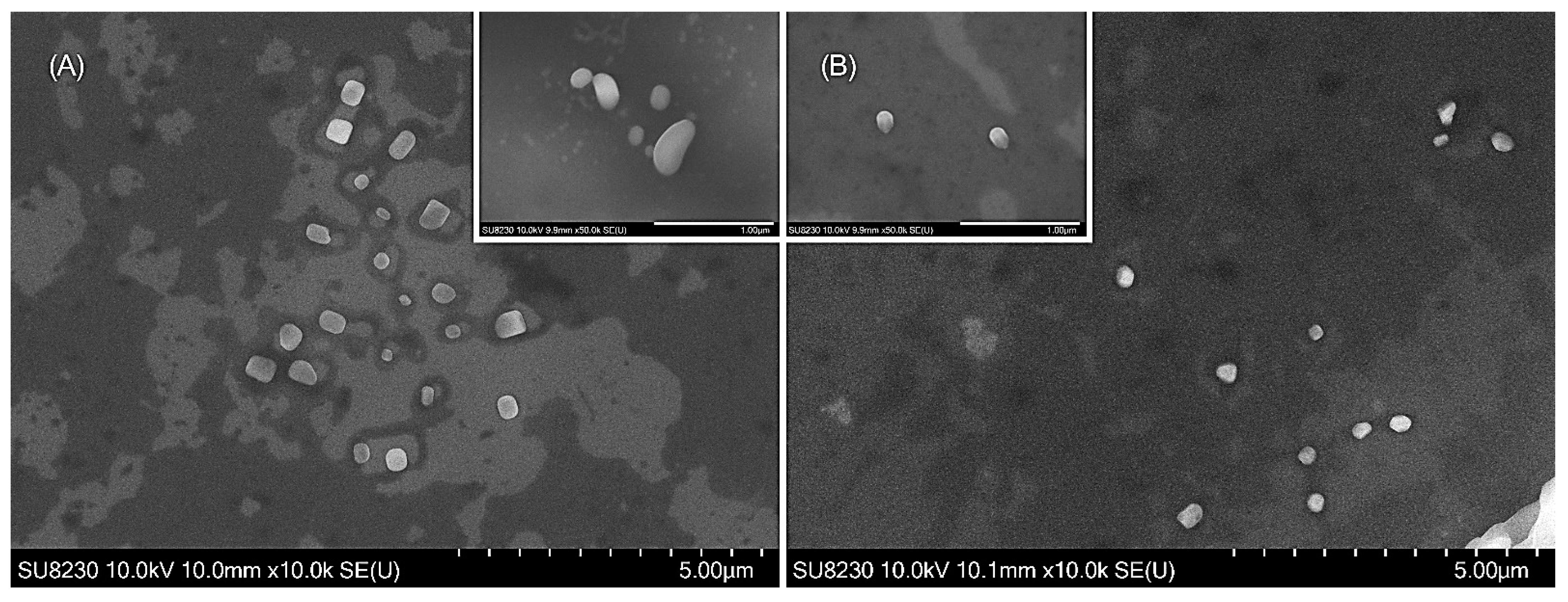 Polymers 15 04375 g003