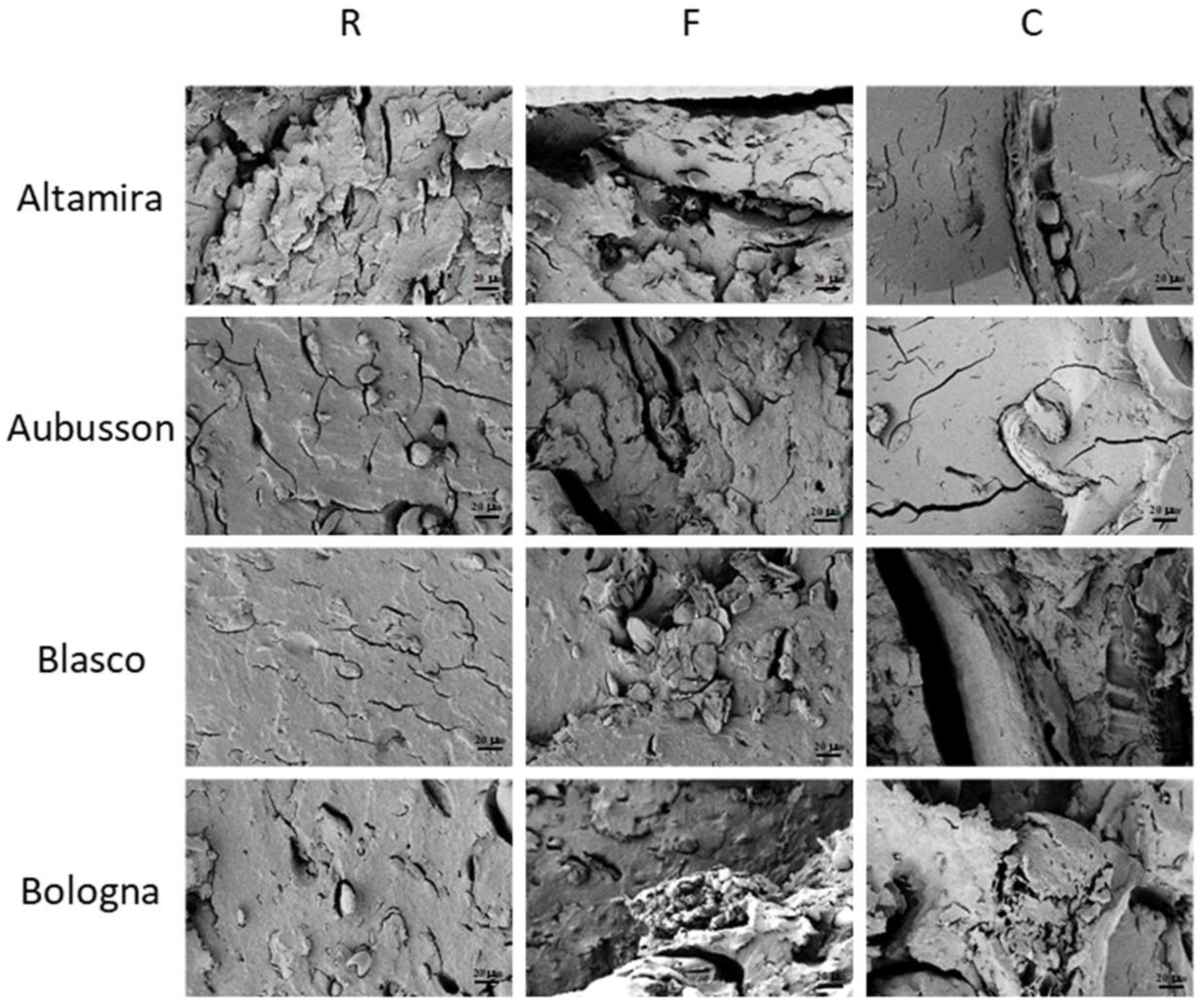 Polymers 15 04381 g007