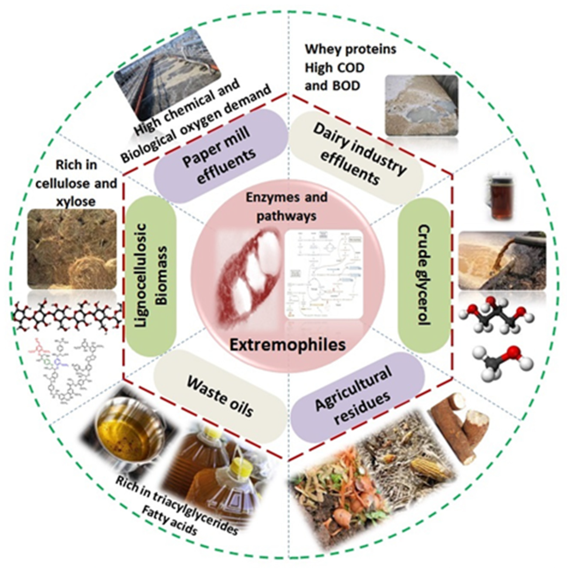 Polymers 15 04385 g002