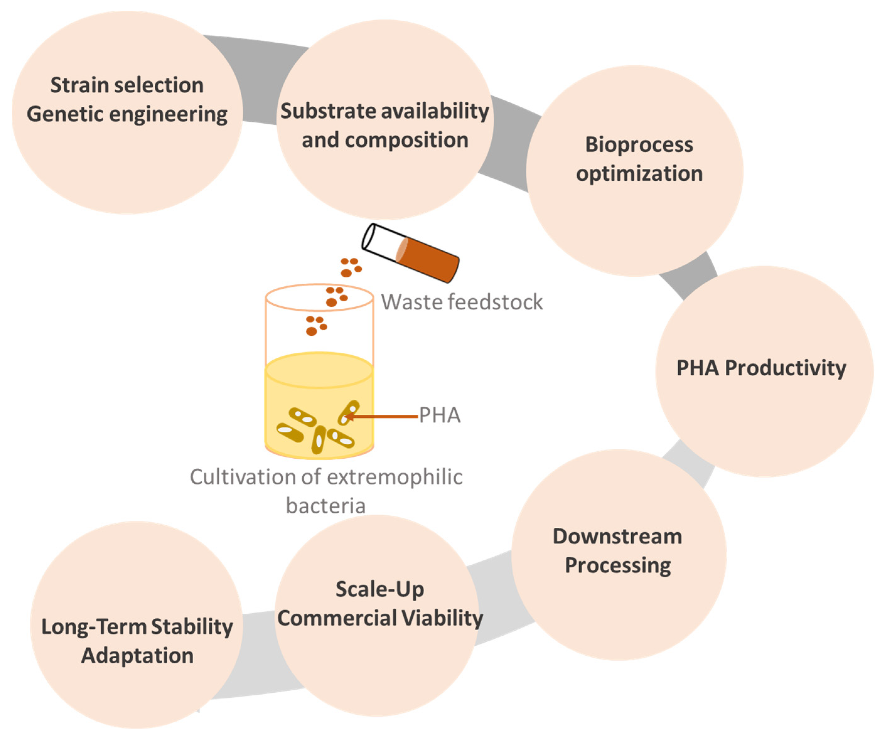 Polymers 15 04385 g004