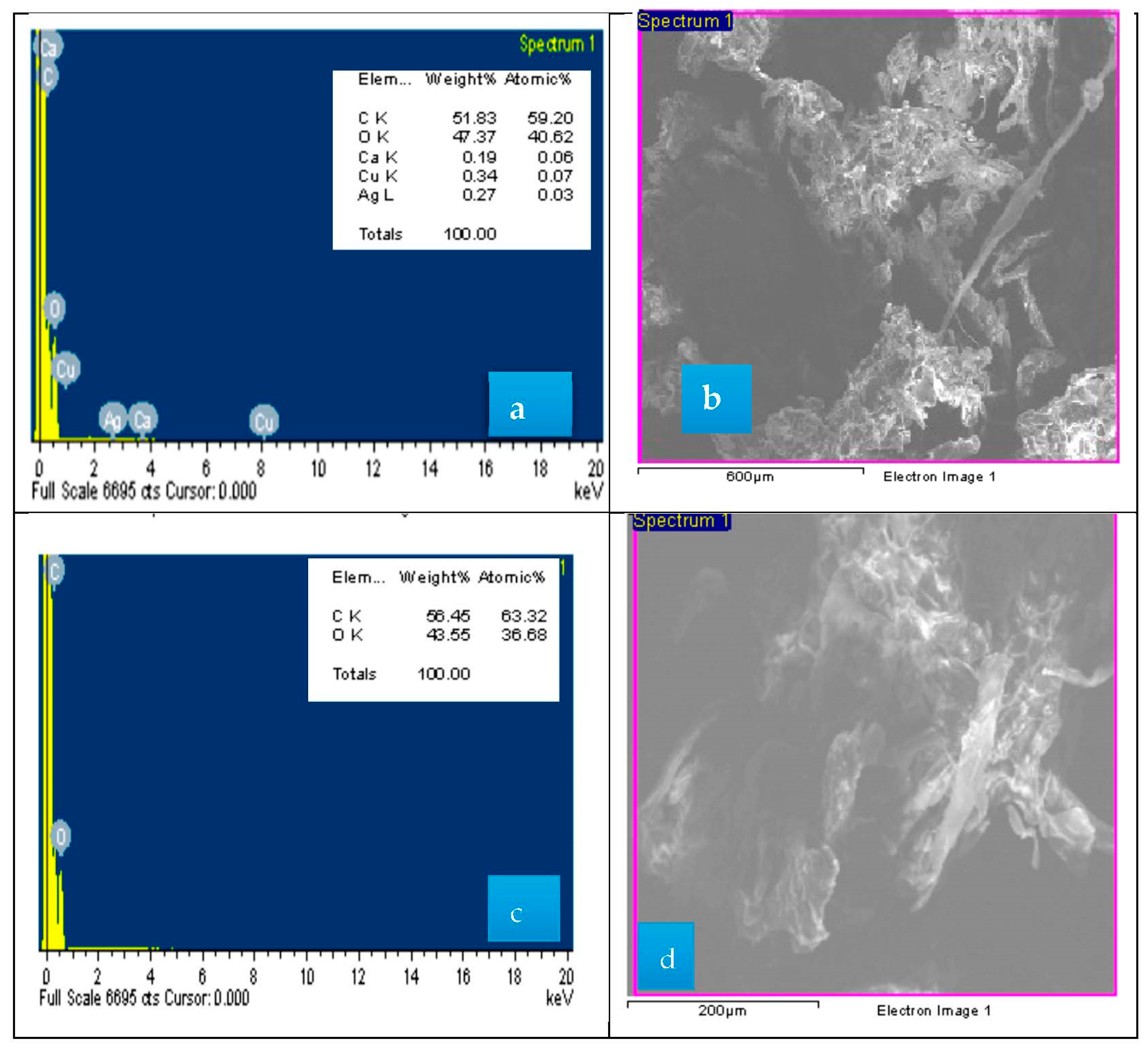 Polymers 15 04394 g002