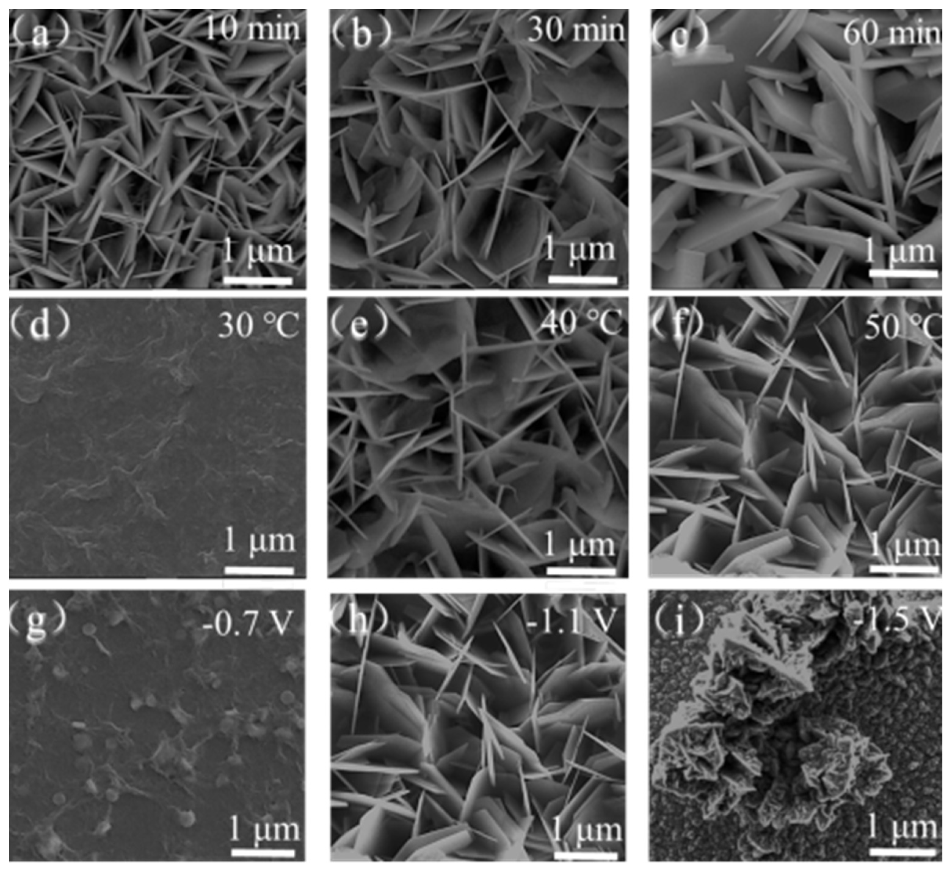 Polymers 15 04399 g002