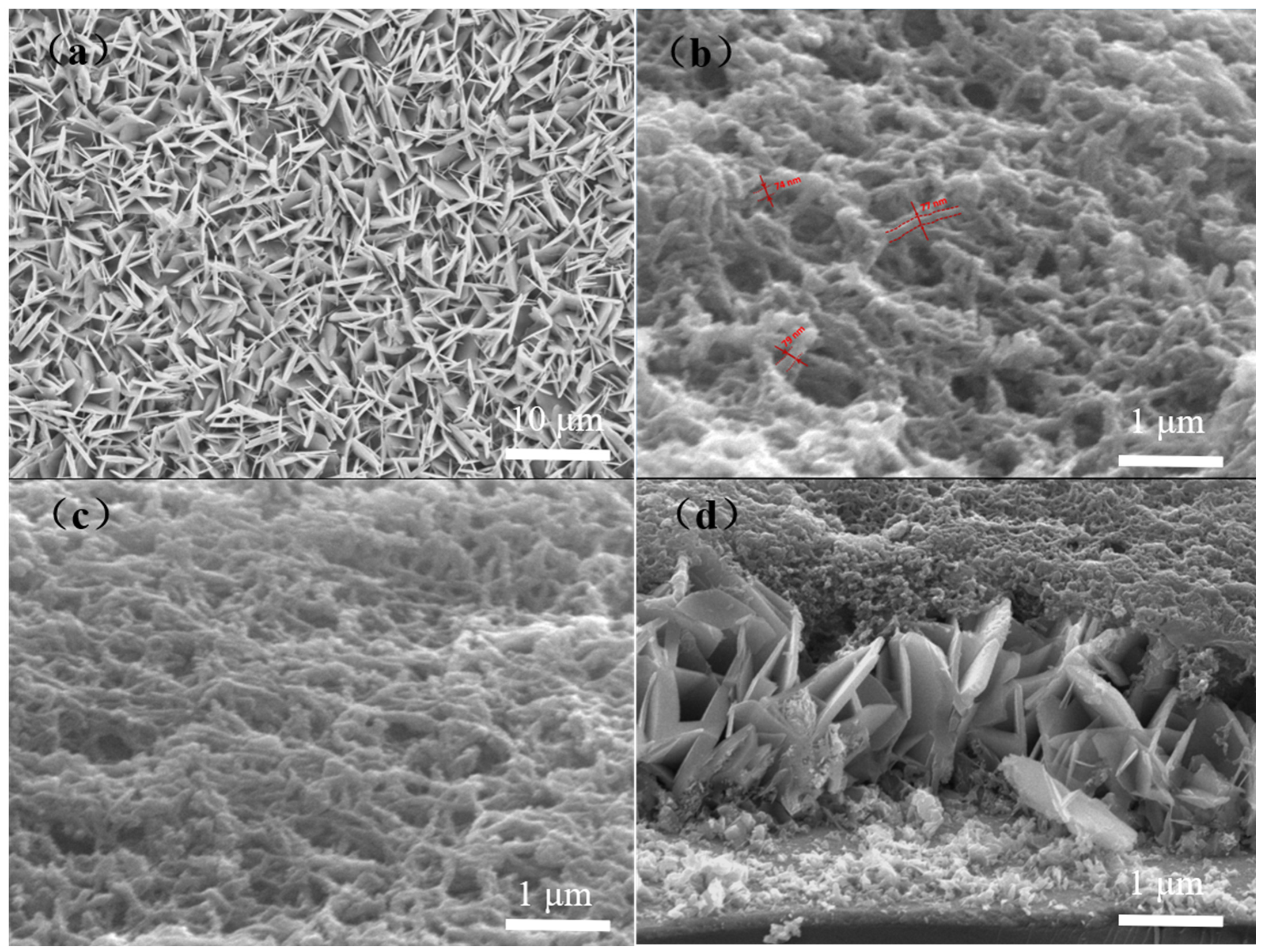 Polymers 15 04399 g003