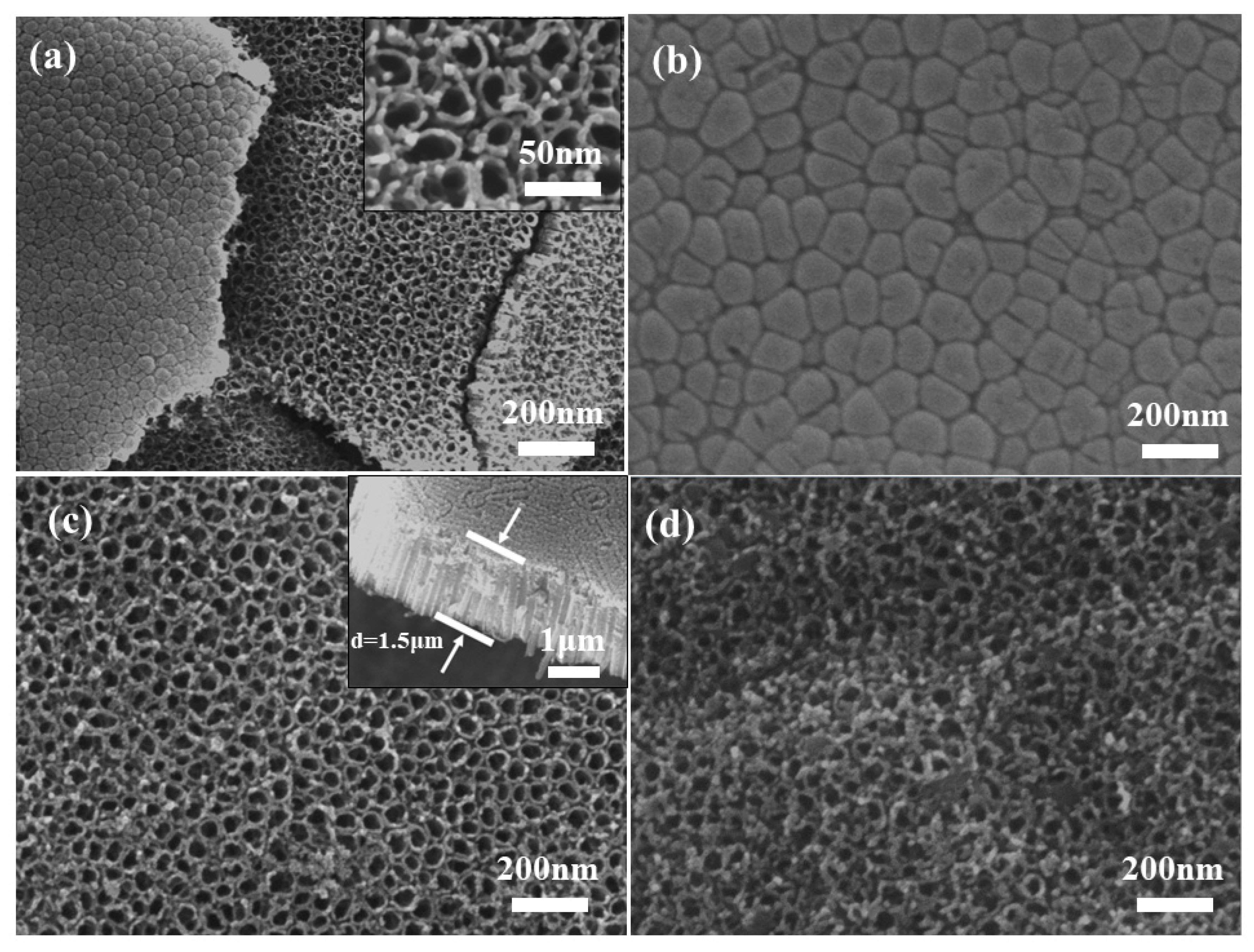 Polymers 15 04400 g003 Polymers 15 04400 g003