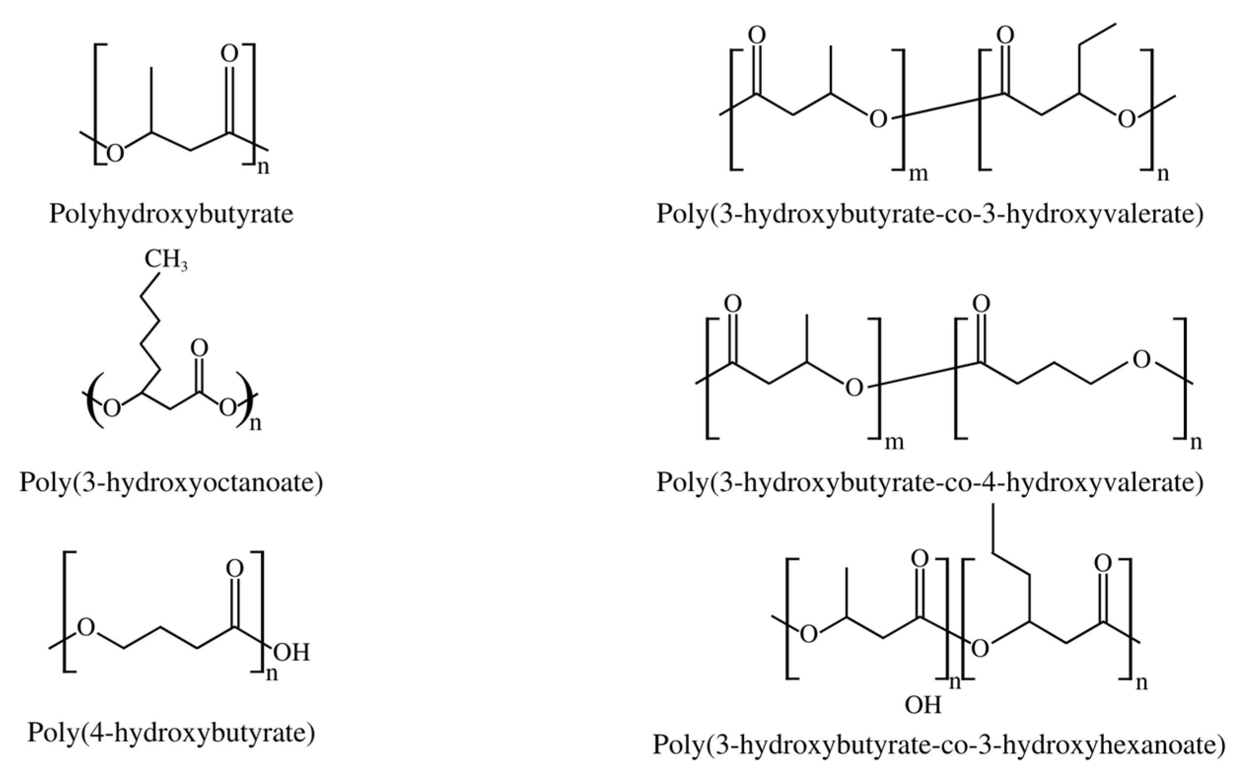 Polymers 15 04405 g002