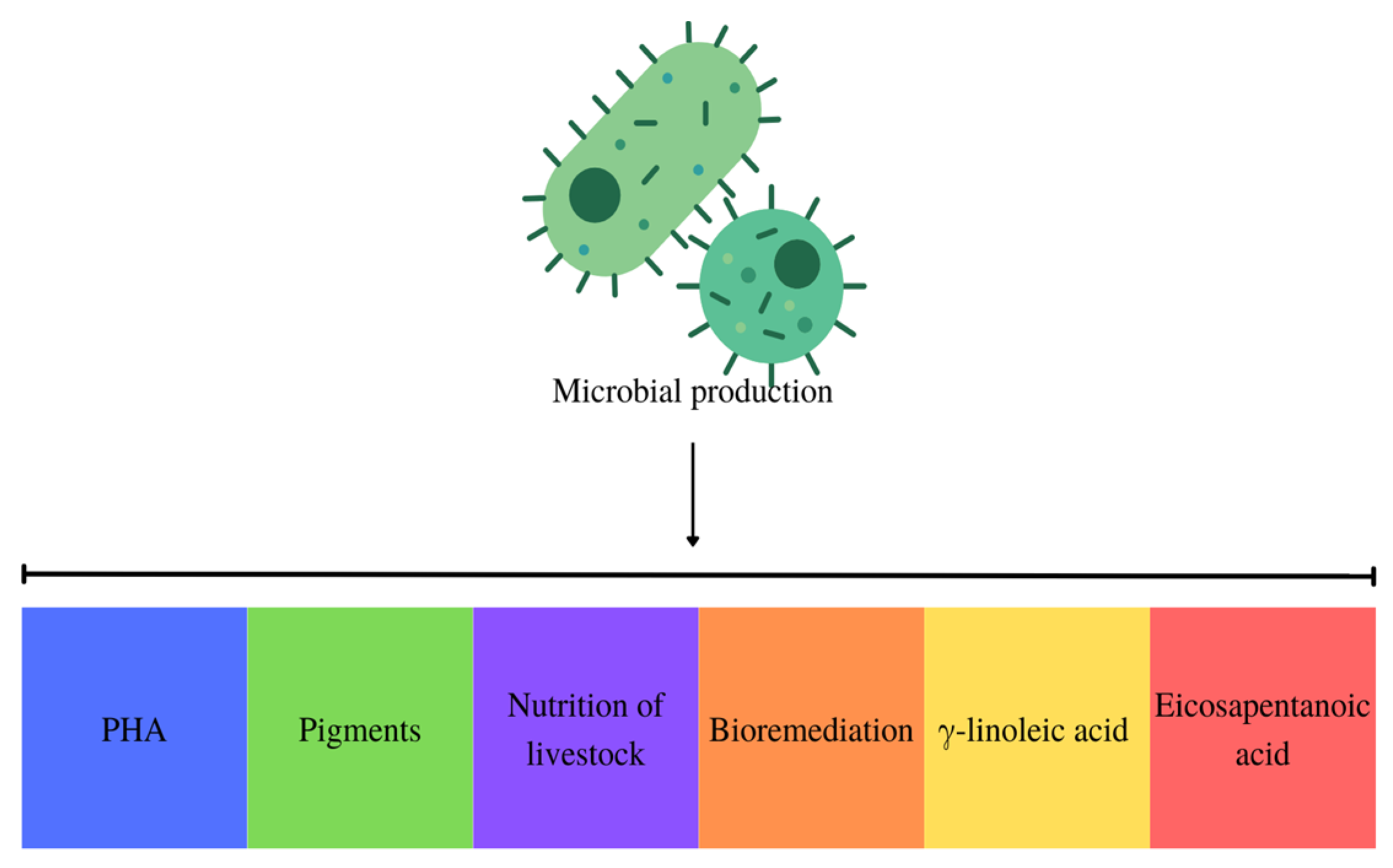 Polymers 15 04405 g005