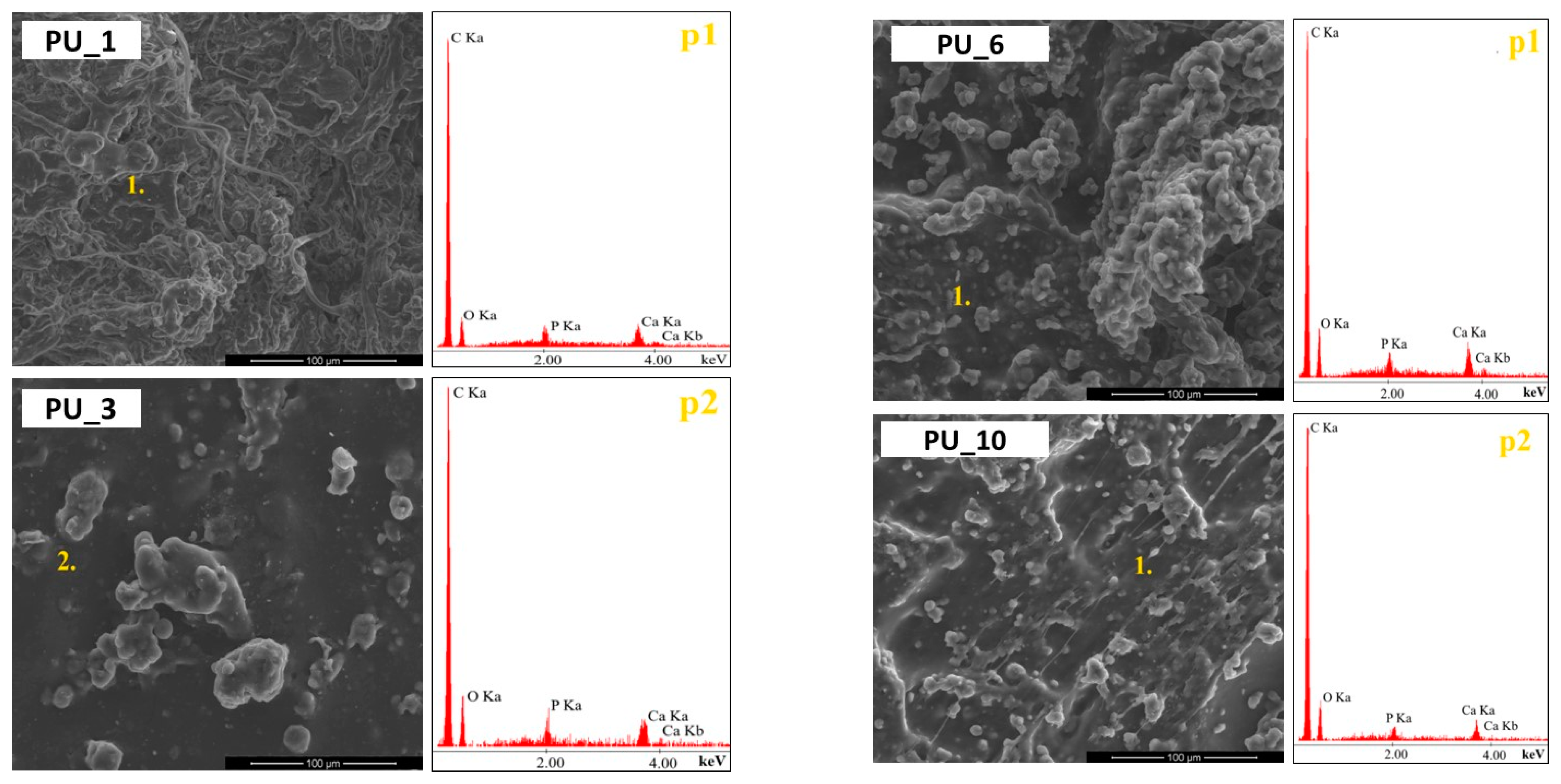 Polymers 15 04414 g005