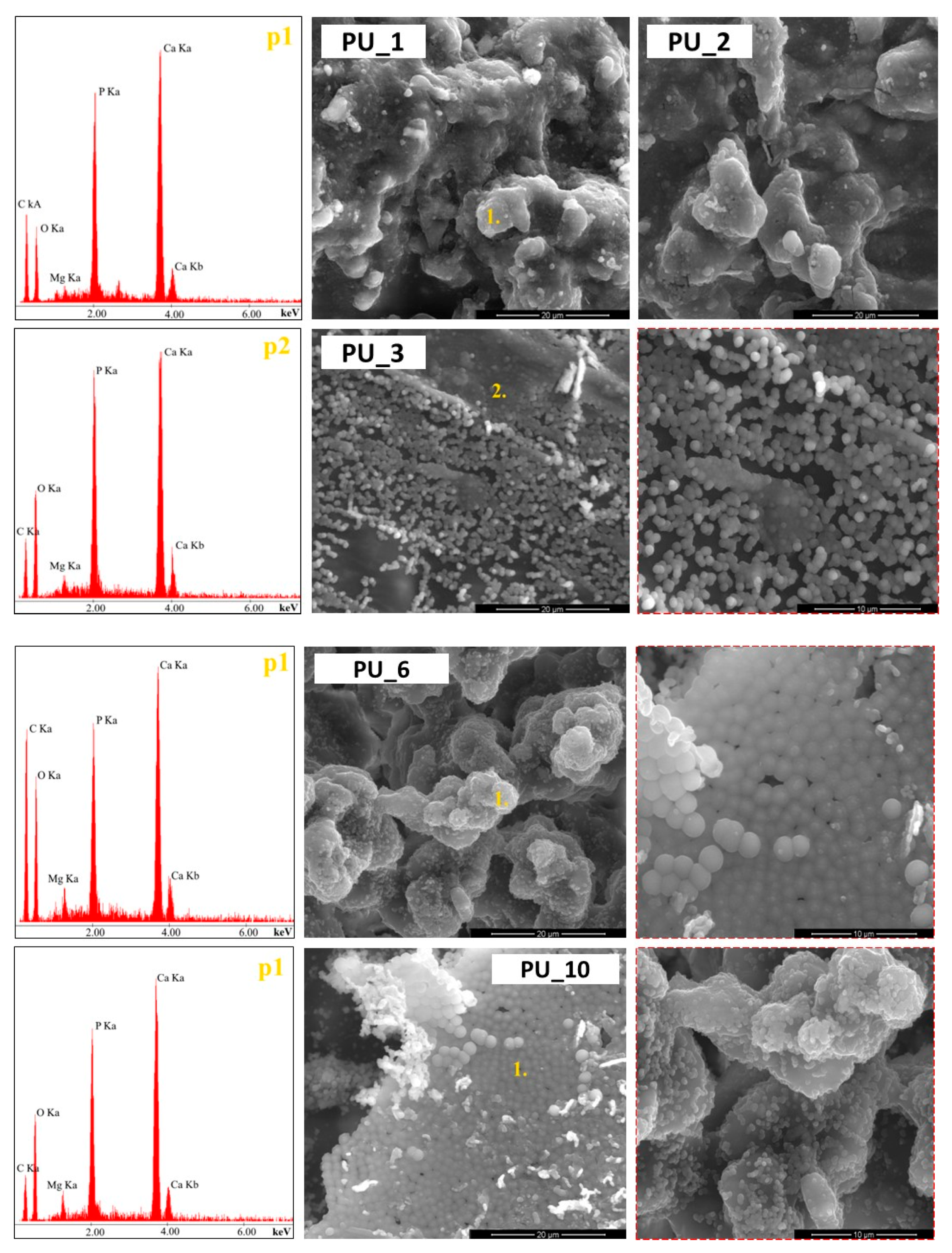 Polymers 15 04414 g012