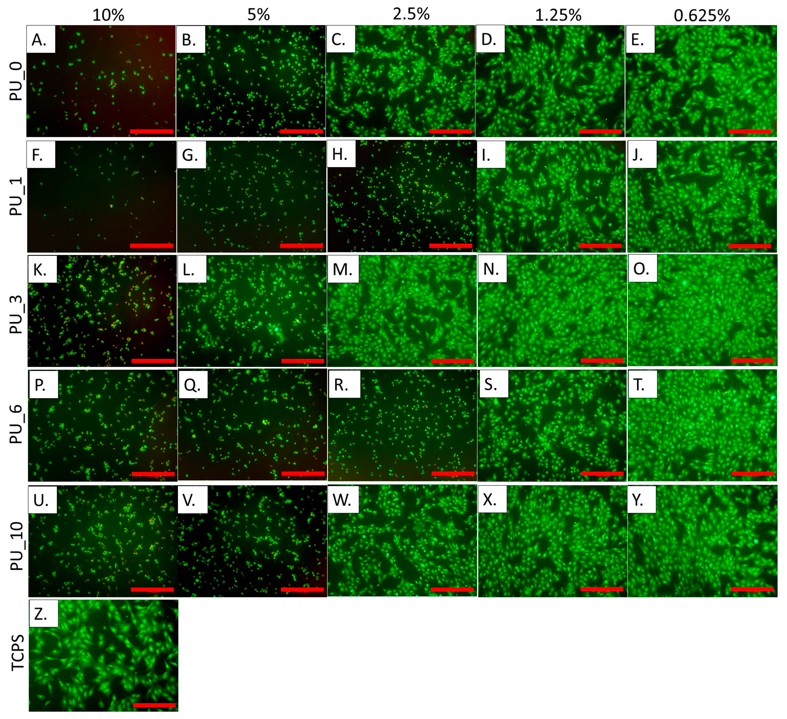 Polymers 15 04414 g017