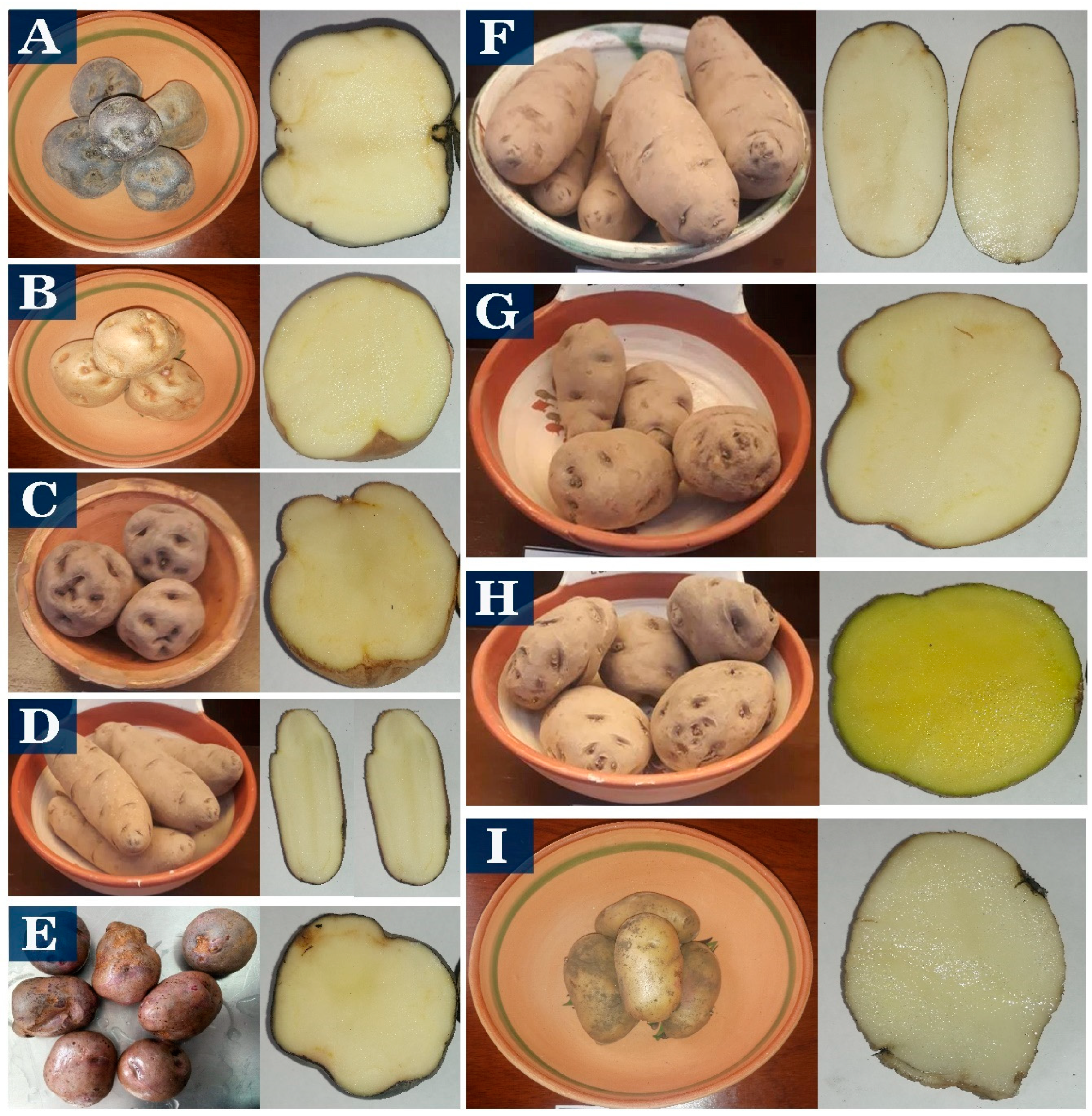 Polymers 15 04417 g001