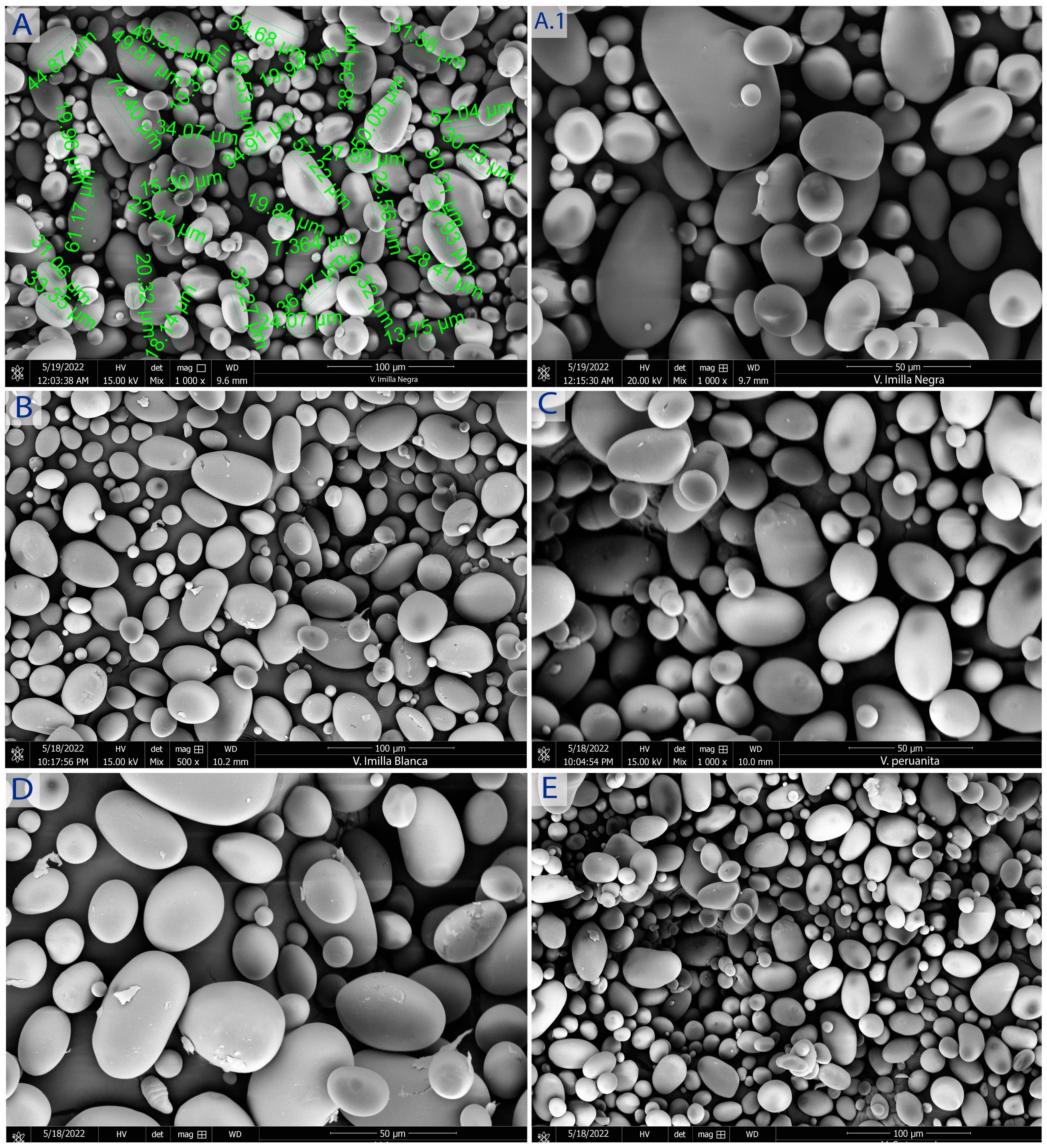 Polymers 15 04417 g002