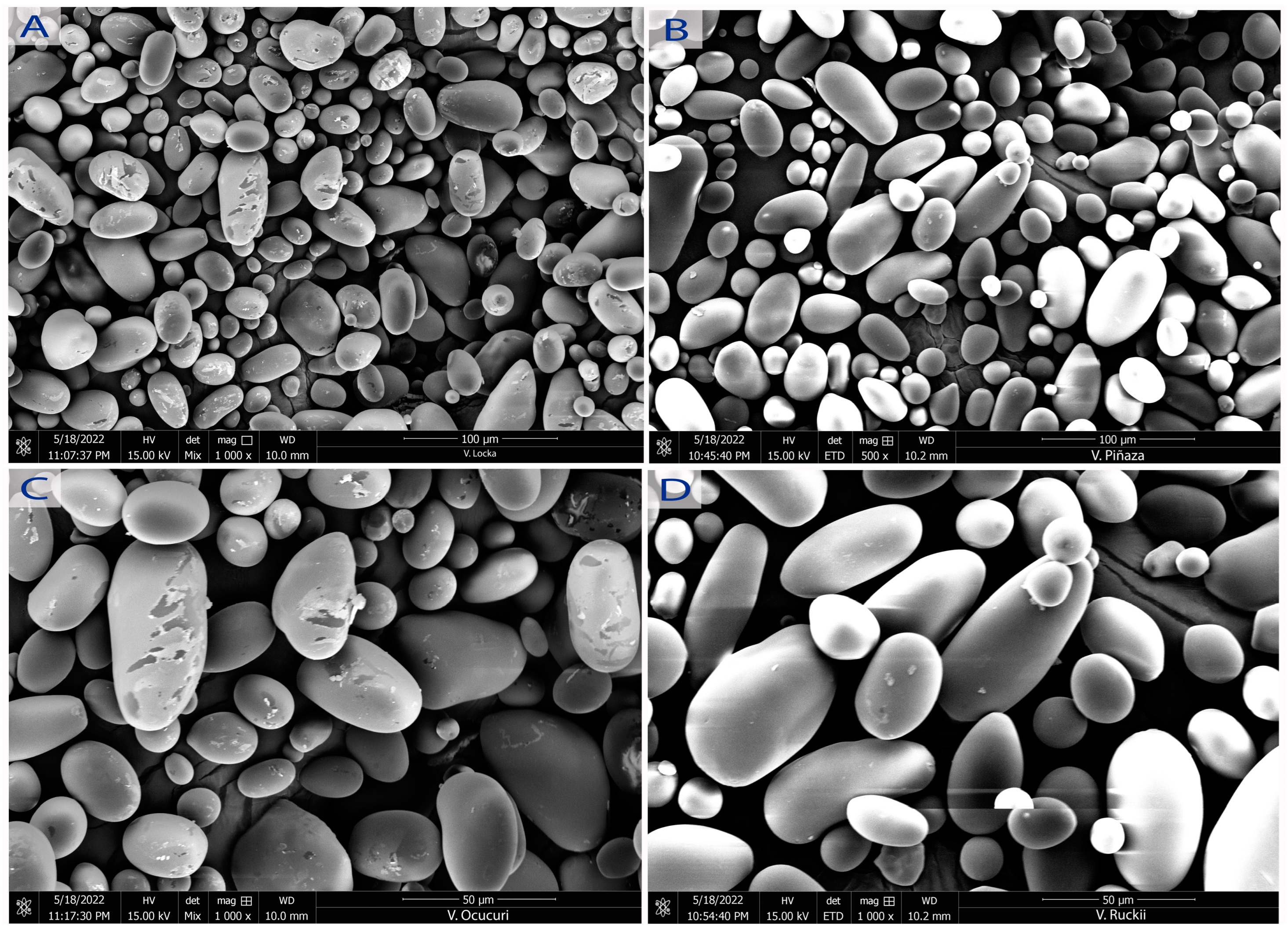 Polymers 15 04417 g003