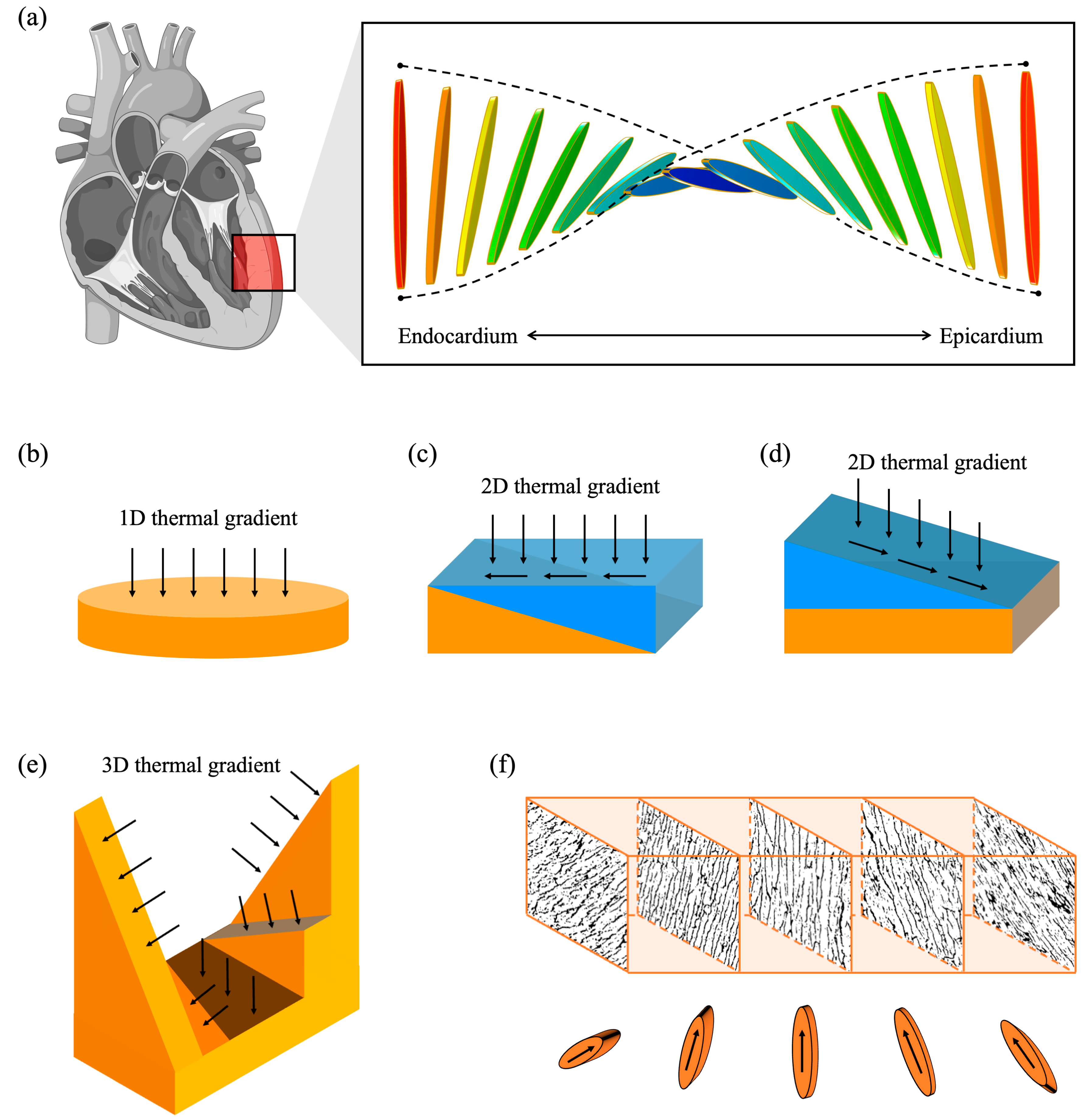 Polymers 15 04420 g001