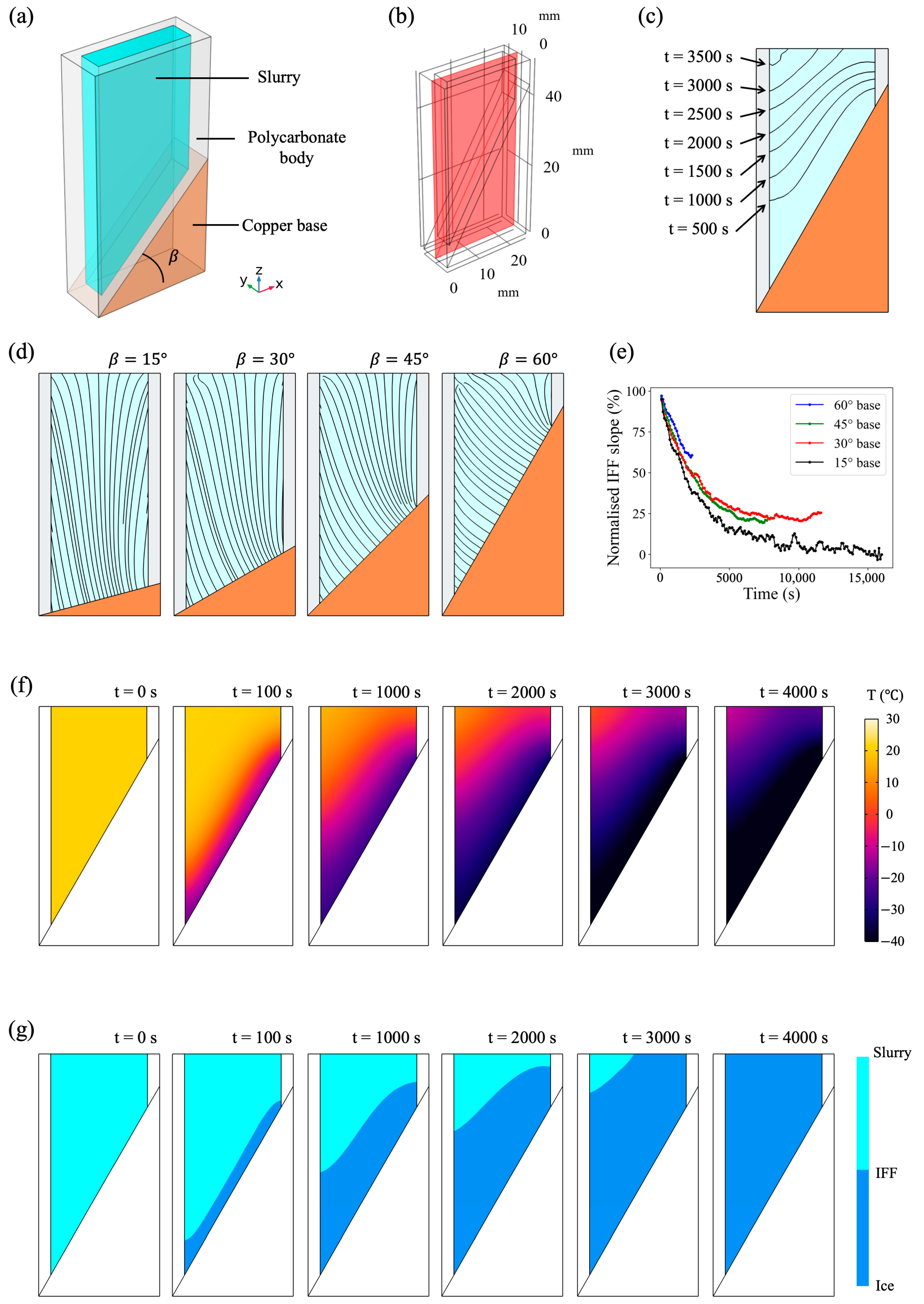 Polymers 15 04420 g002